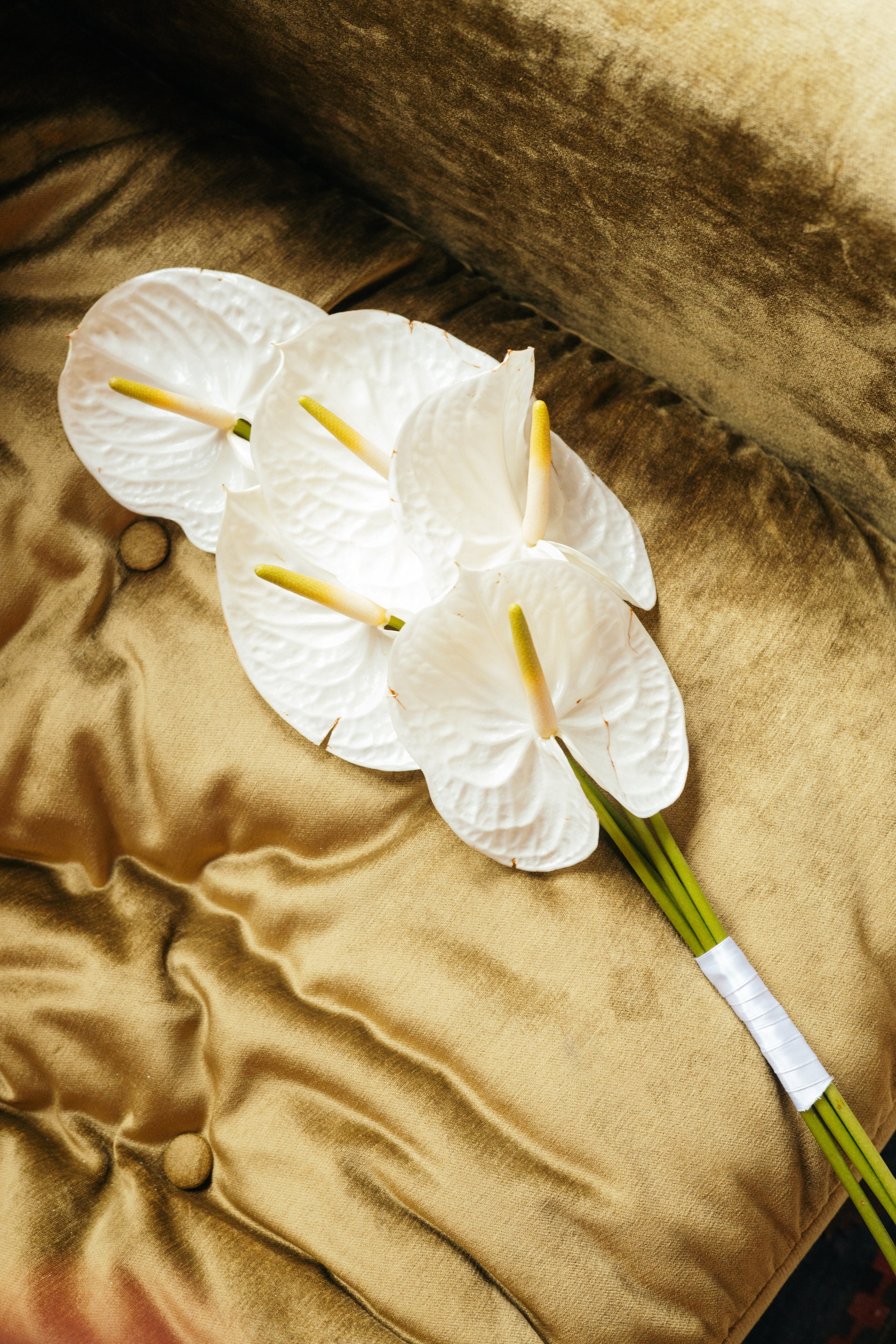 Анна и Даниил. Фотограф Москва Гвоздарева Анастасия