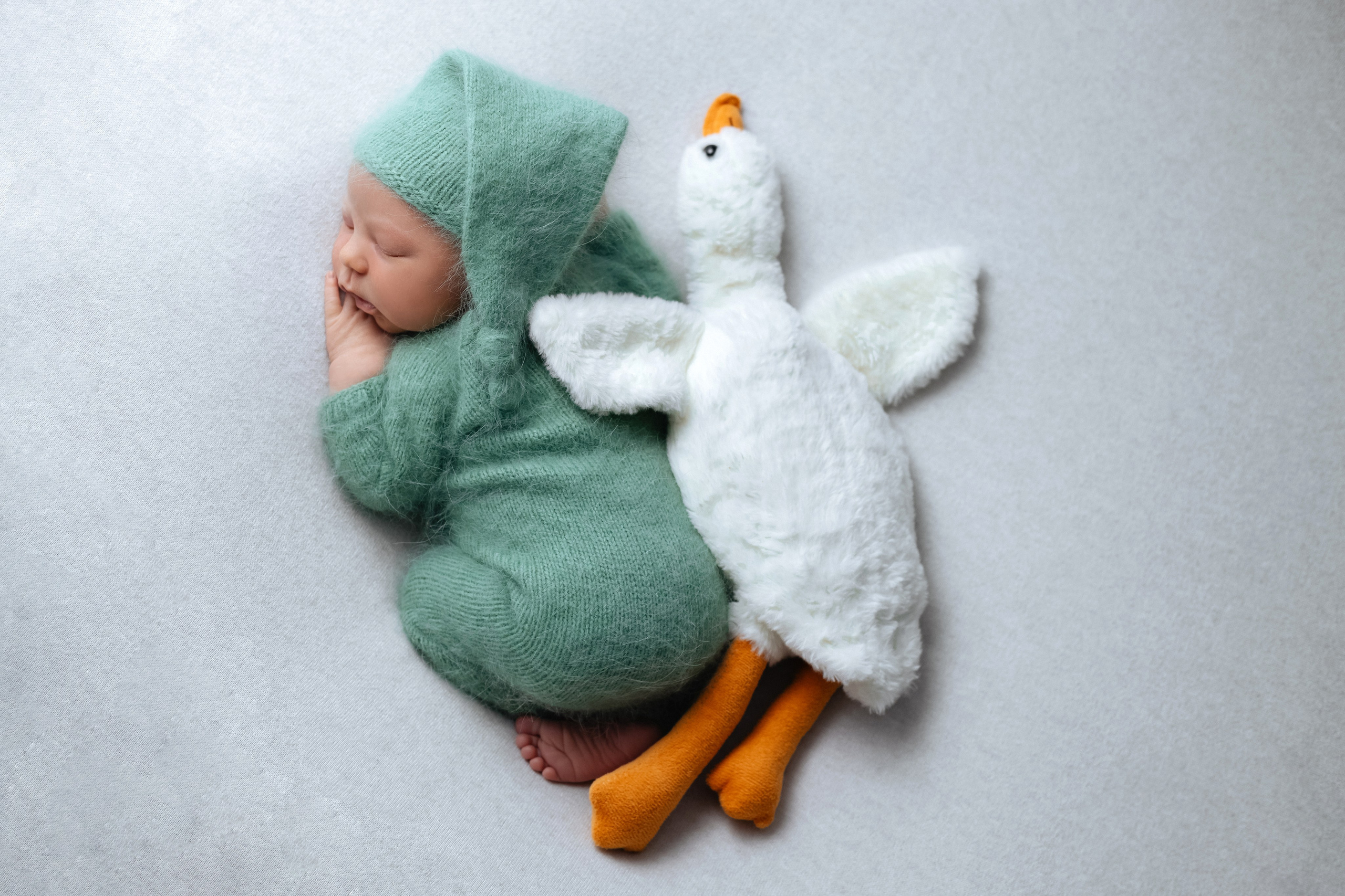 Михаил. Фотограф новорожденных Химки, Красногорск, Мытищи и Москва Елена Третьяк