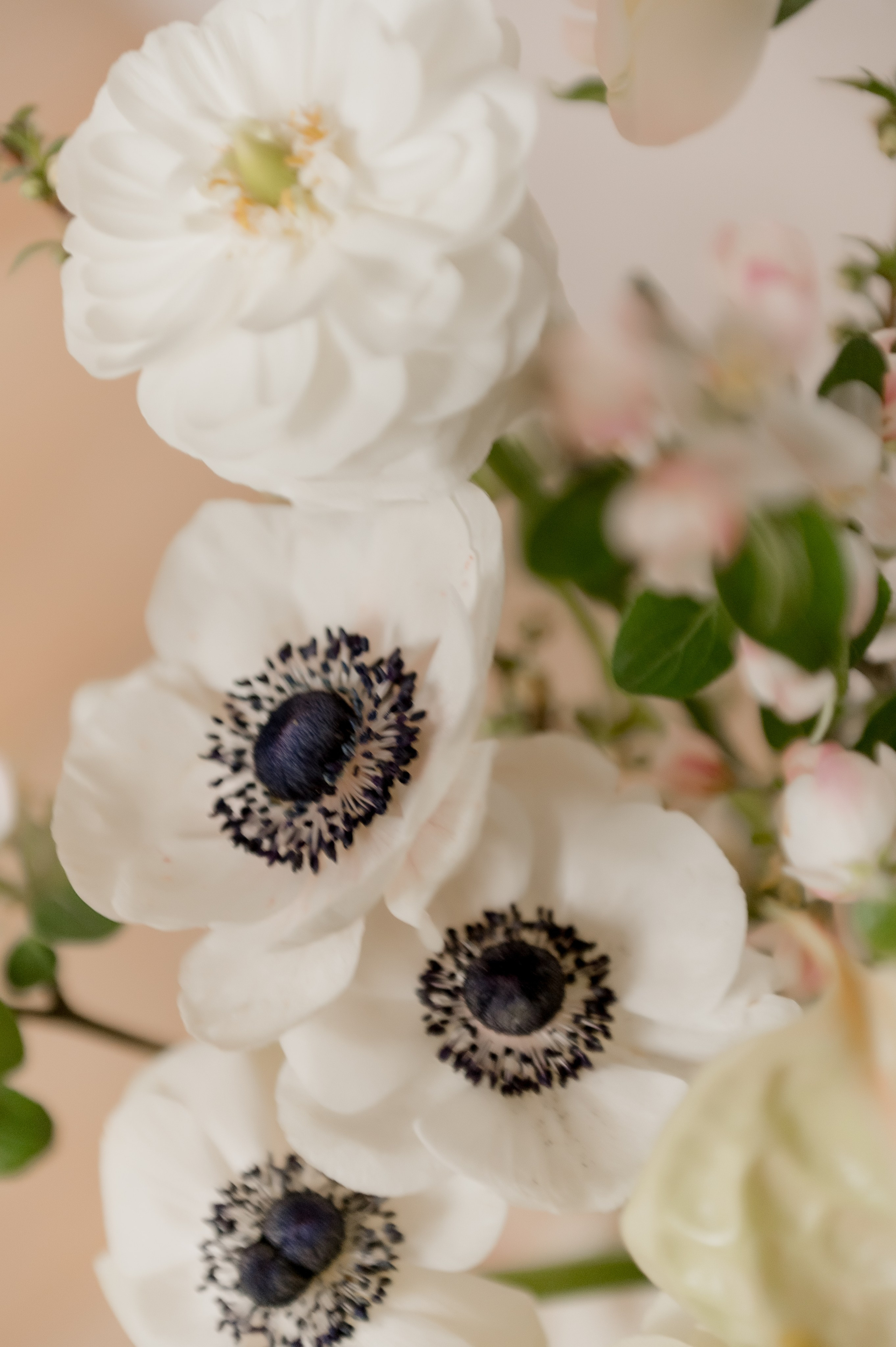 Виктор и Елена. Главная