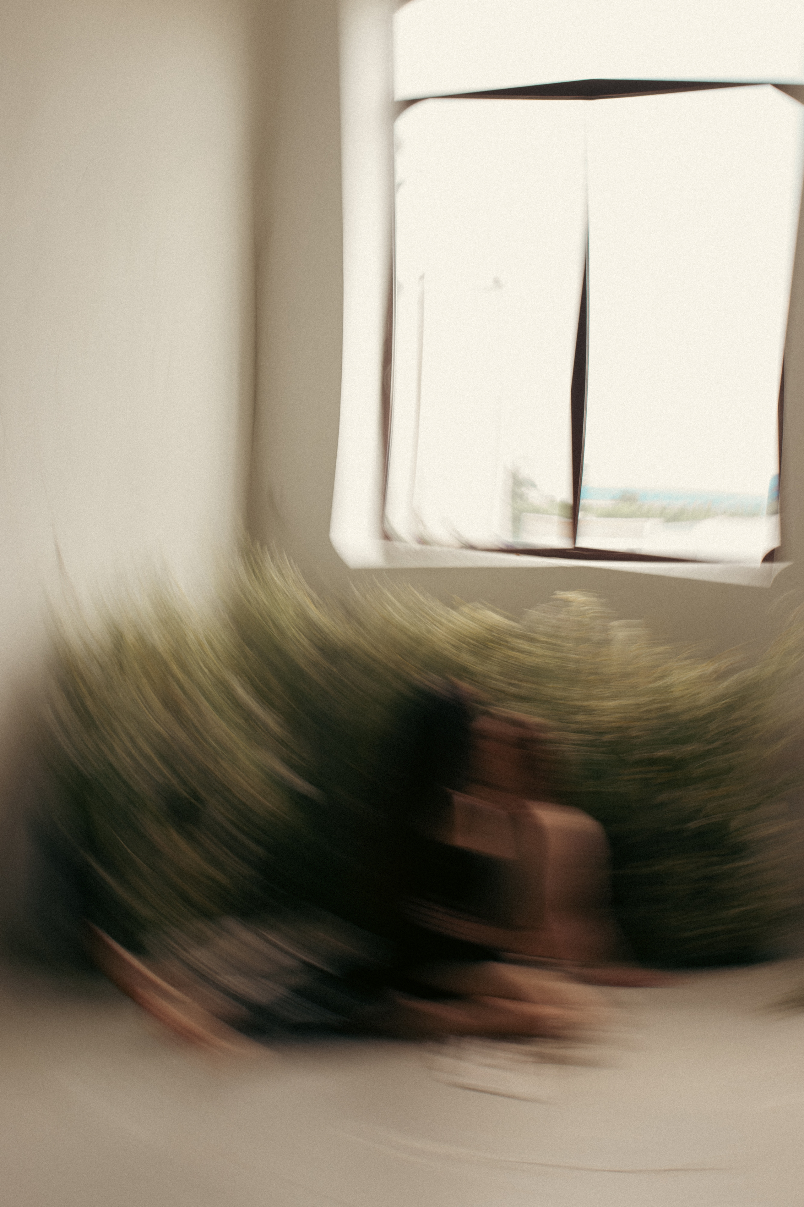 Любовь — это сила природы. Фотограф Диана Хасанова, г. Казань