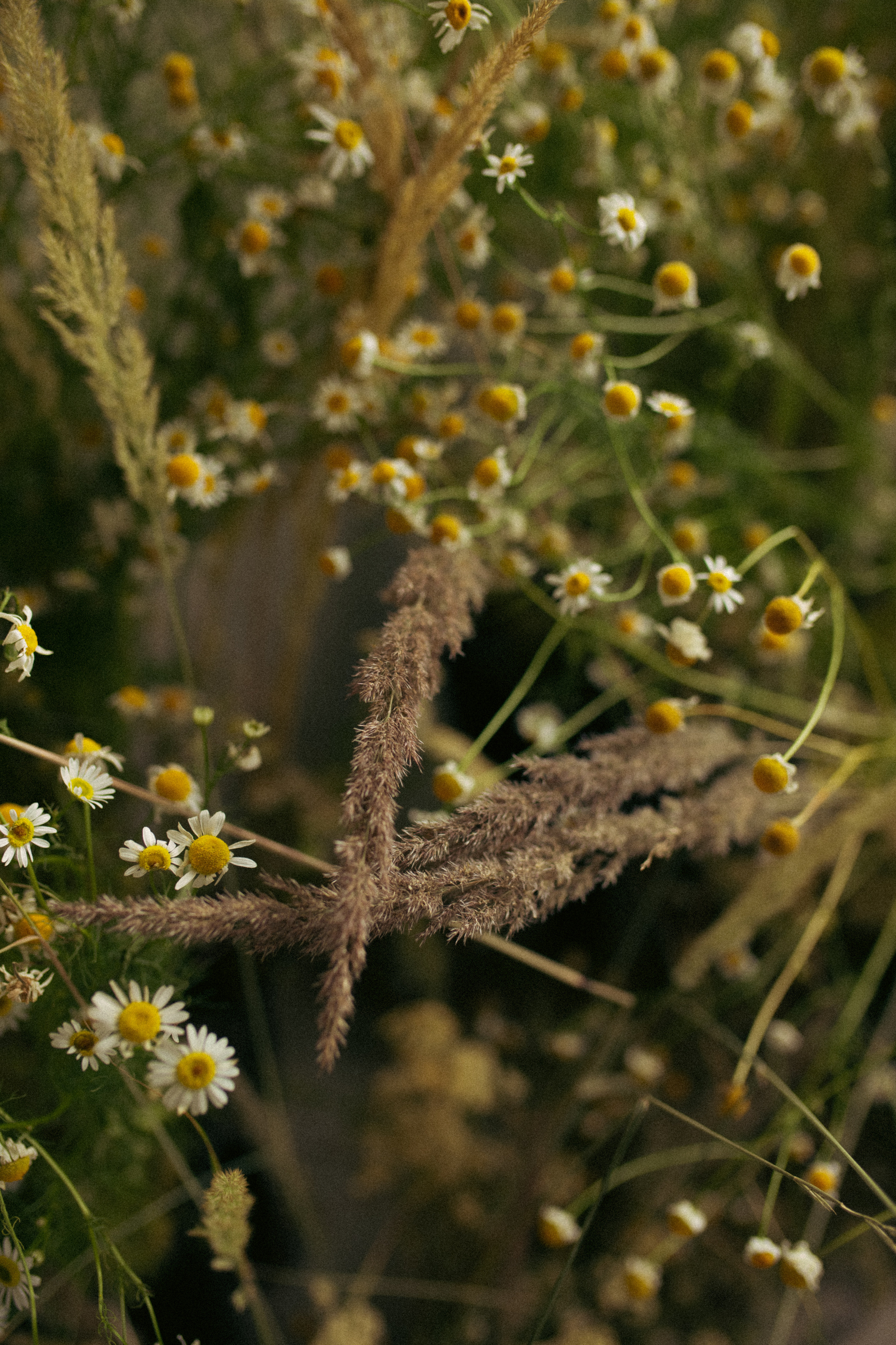 Любовь — это сила природы. Фотограф Диана Хасанова, г. Казань