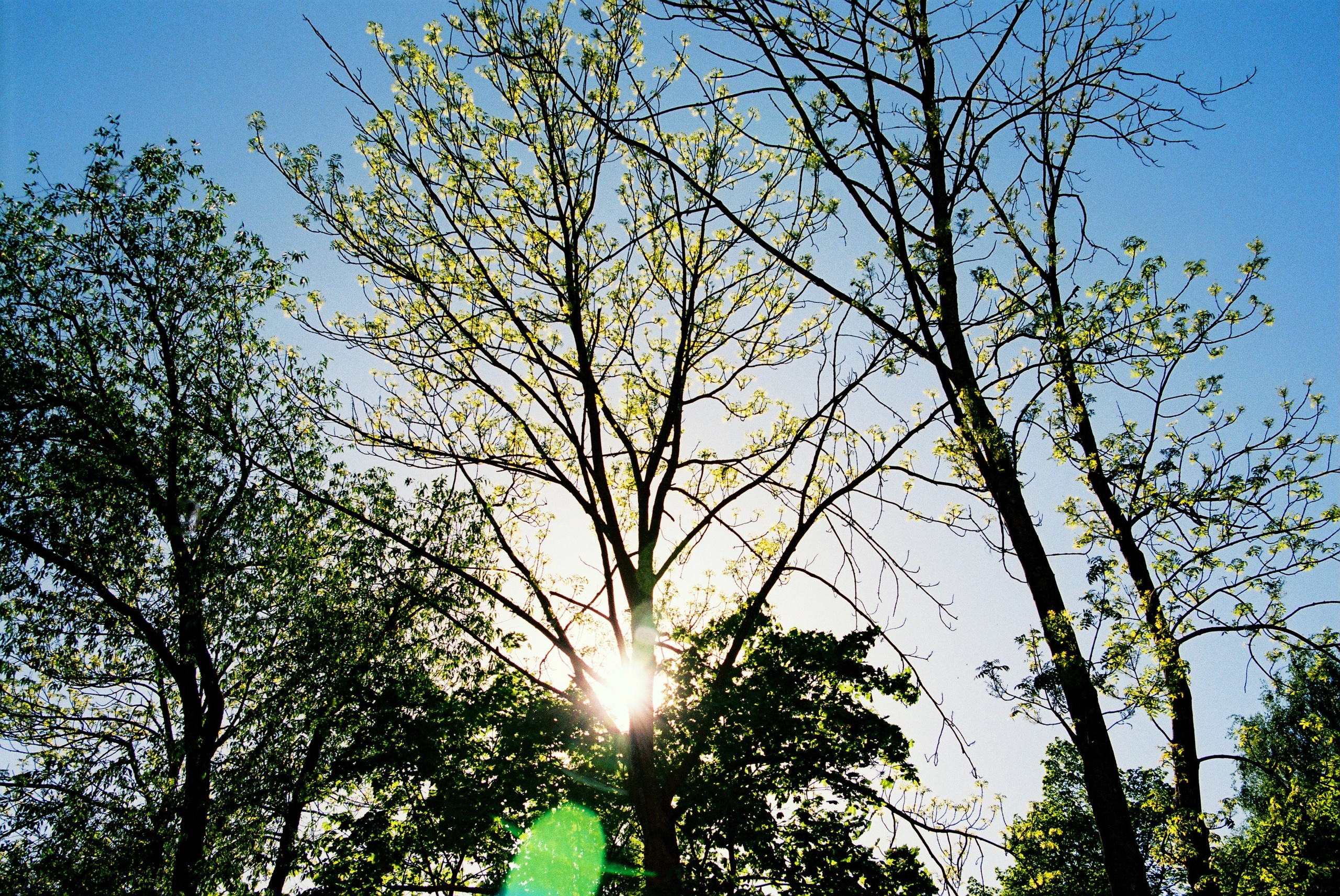 Film. Ruslan UI Dev Page