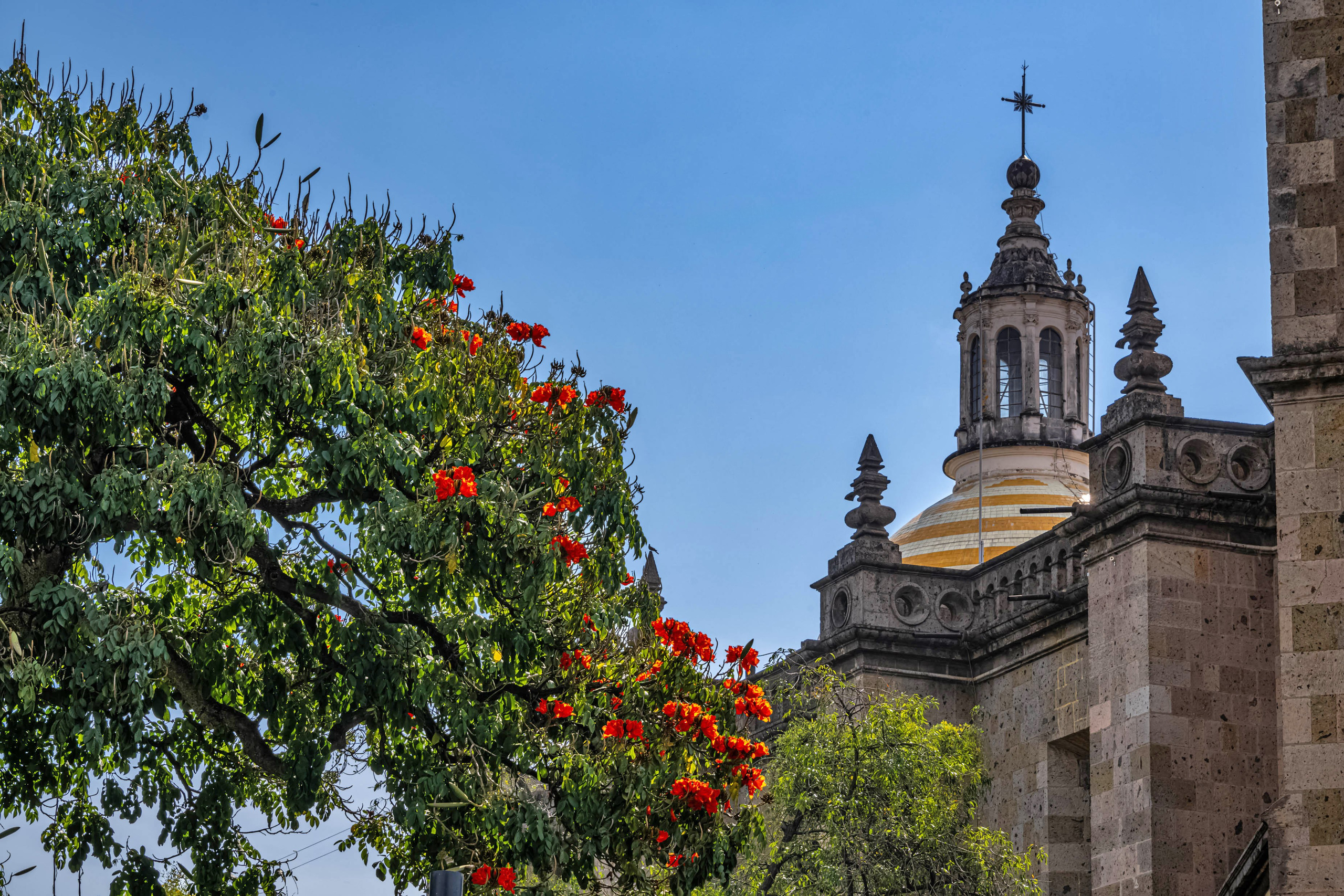Мексика Гвадалахара. Фотограф Лара Кучина