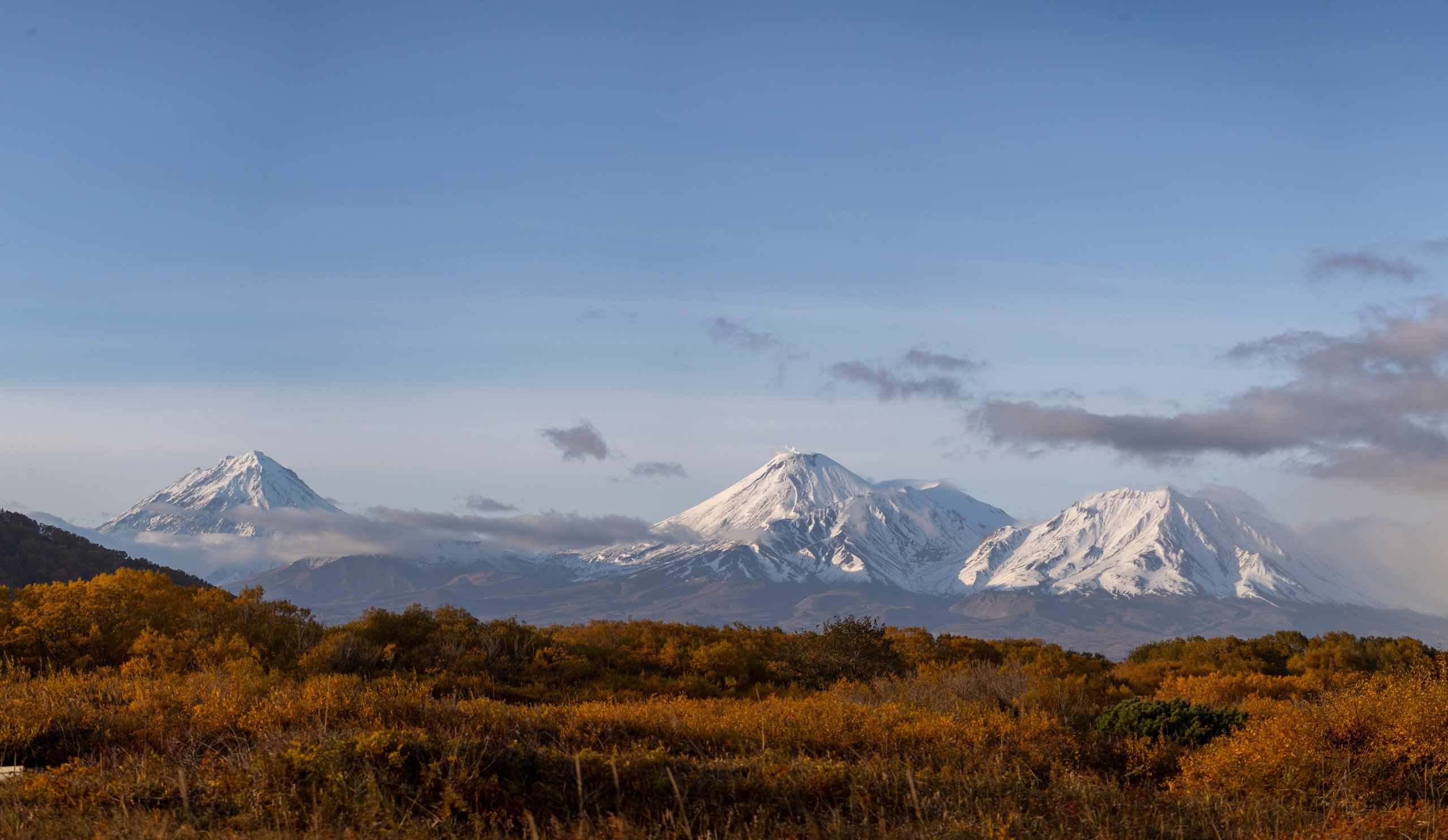 Услуги. Фотограф на Камчатке, съемки на природе