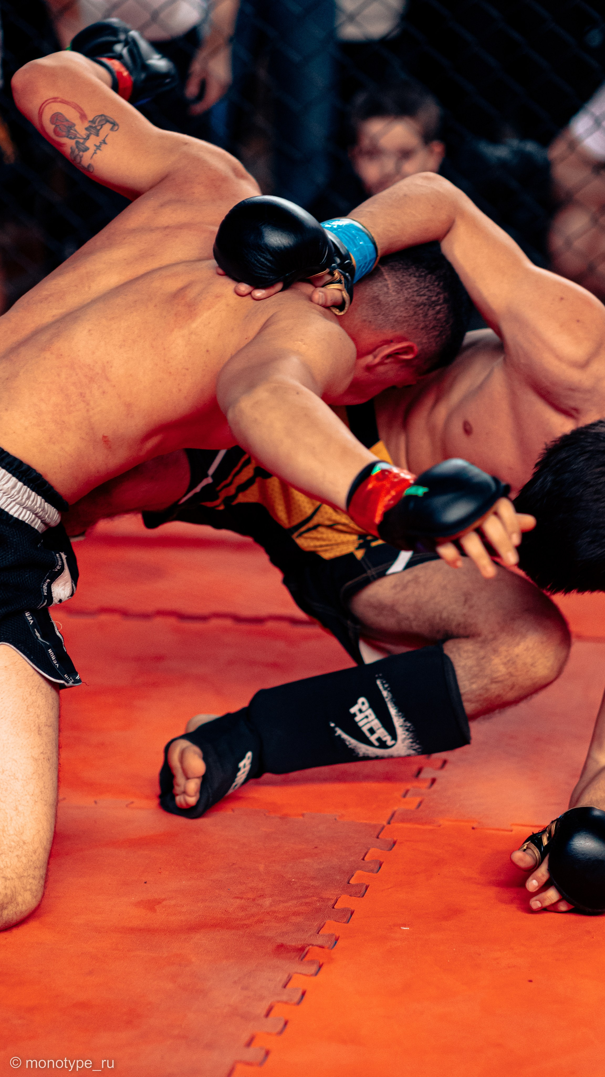 MMA. Бойцовский турнир