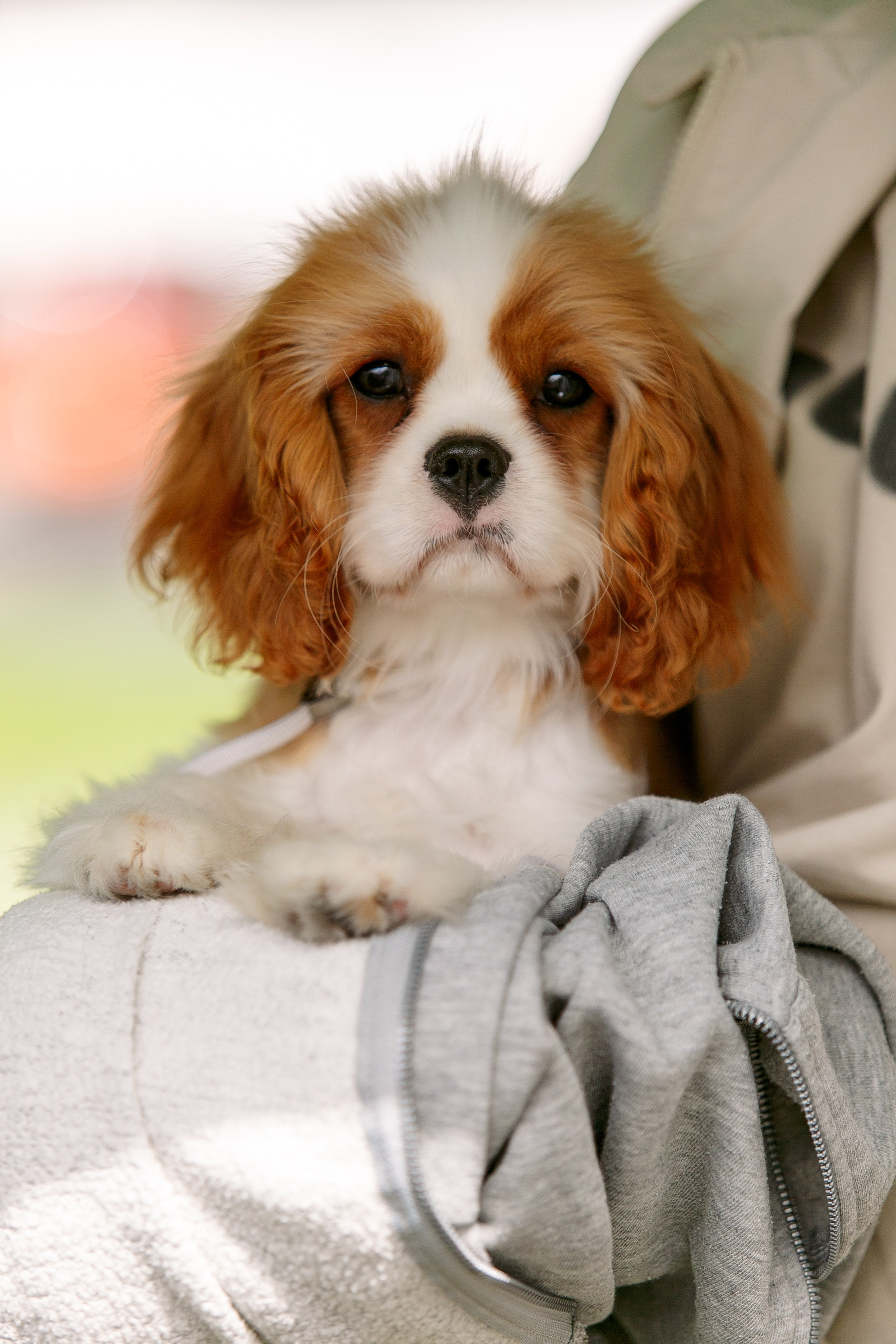 Окунулась вновь в атмосферу выставки…. Школьный фотограф в Туле Светлана Привезенцева