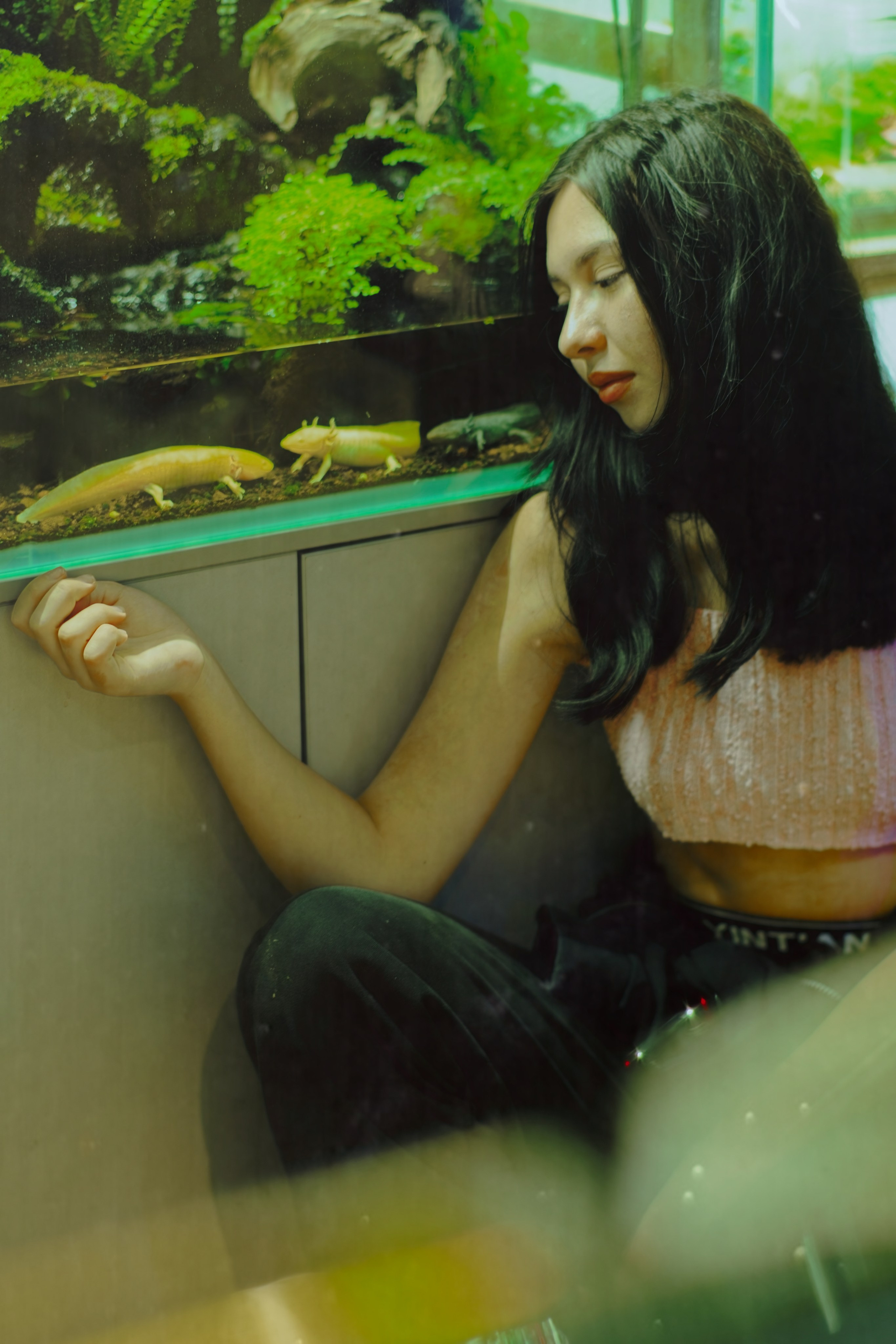 Аквариум. Фотограф Денис Шемет