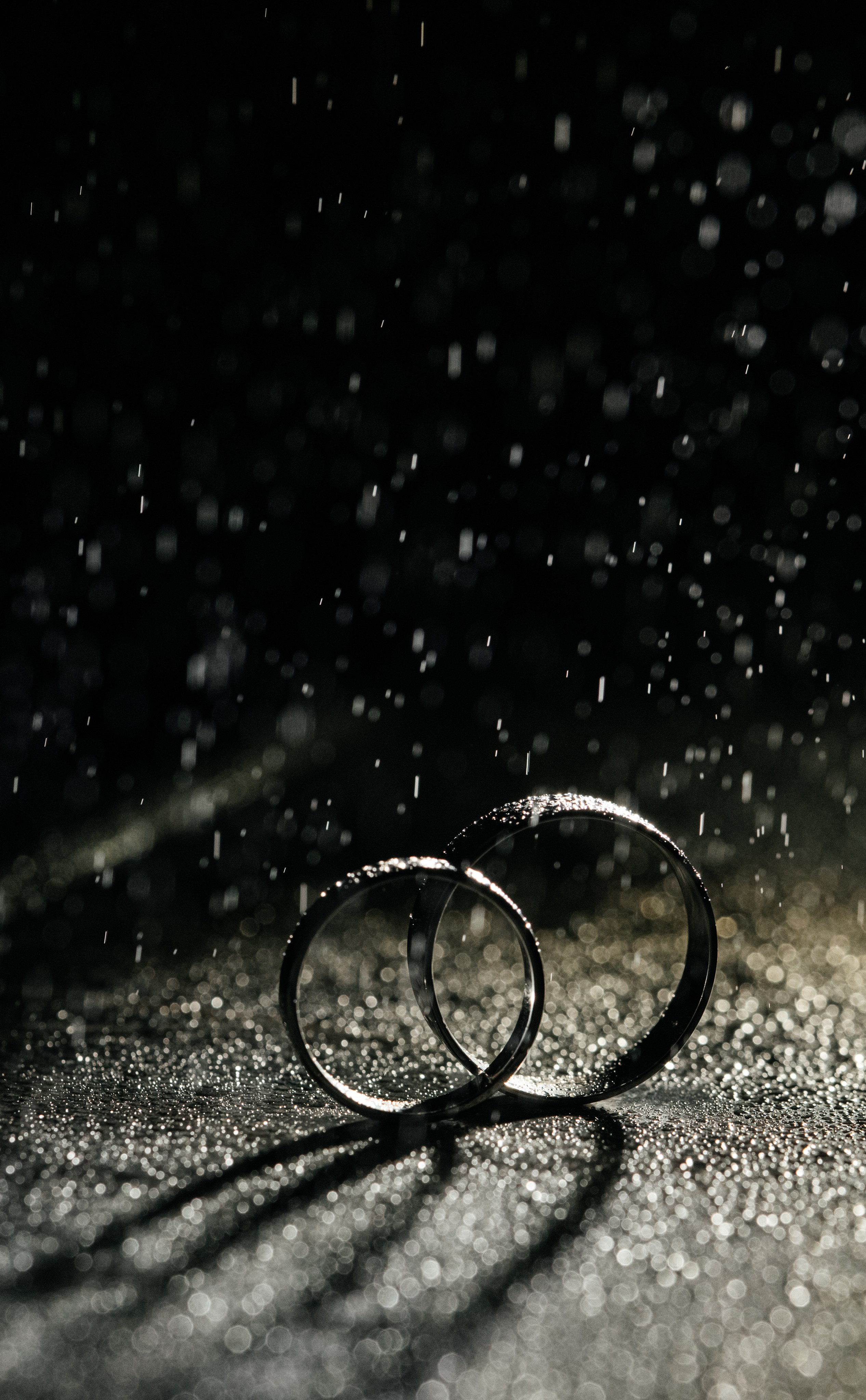 Контакты. Свадебный фотограф в Курске Антон Богданов