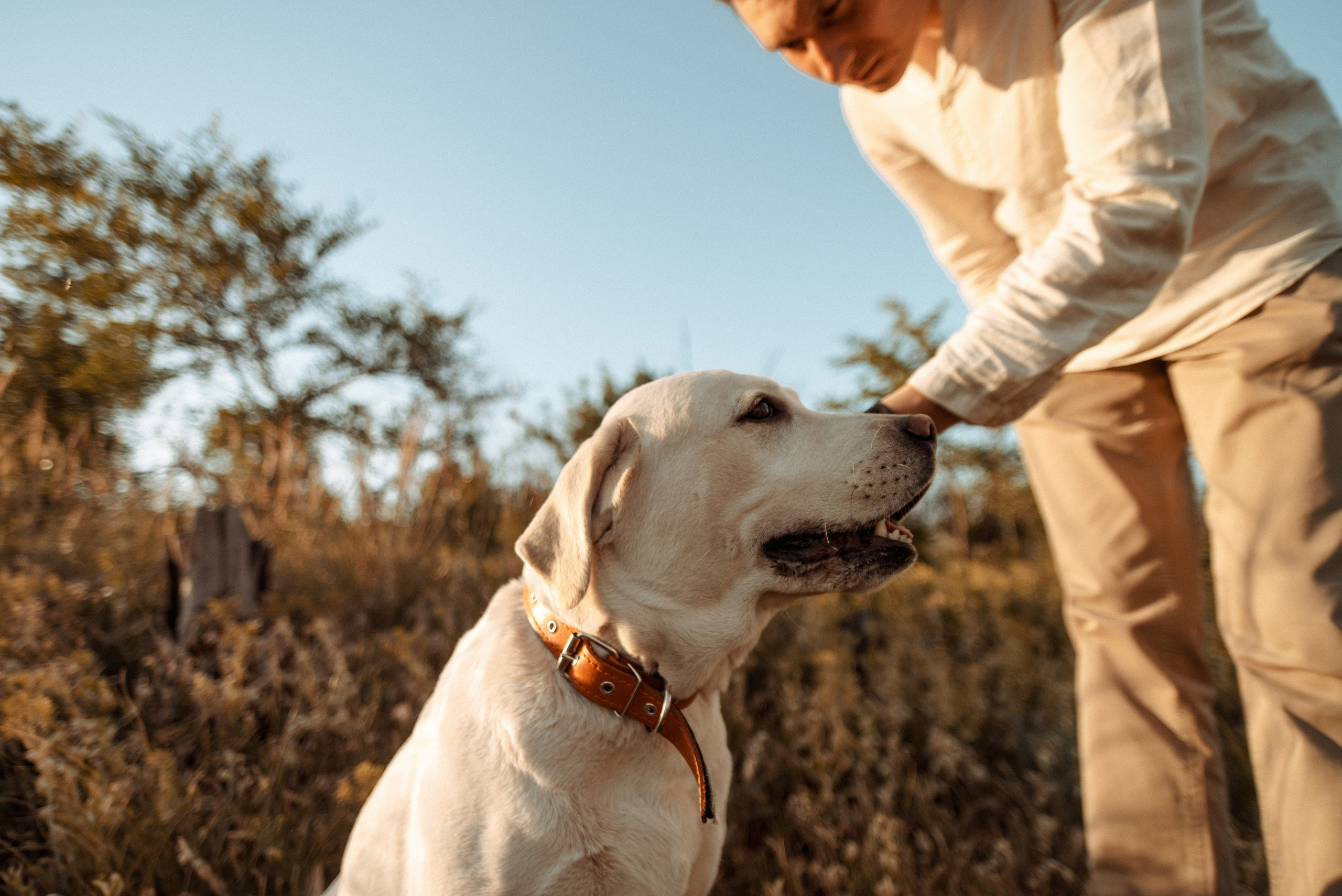 Трое в поле, не считая собаки. Семейный документальный фотограф в Волгограде Мариэта Додина