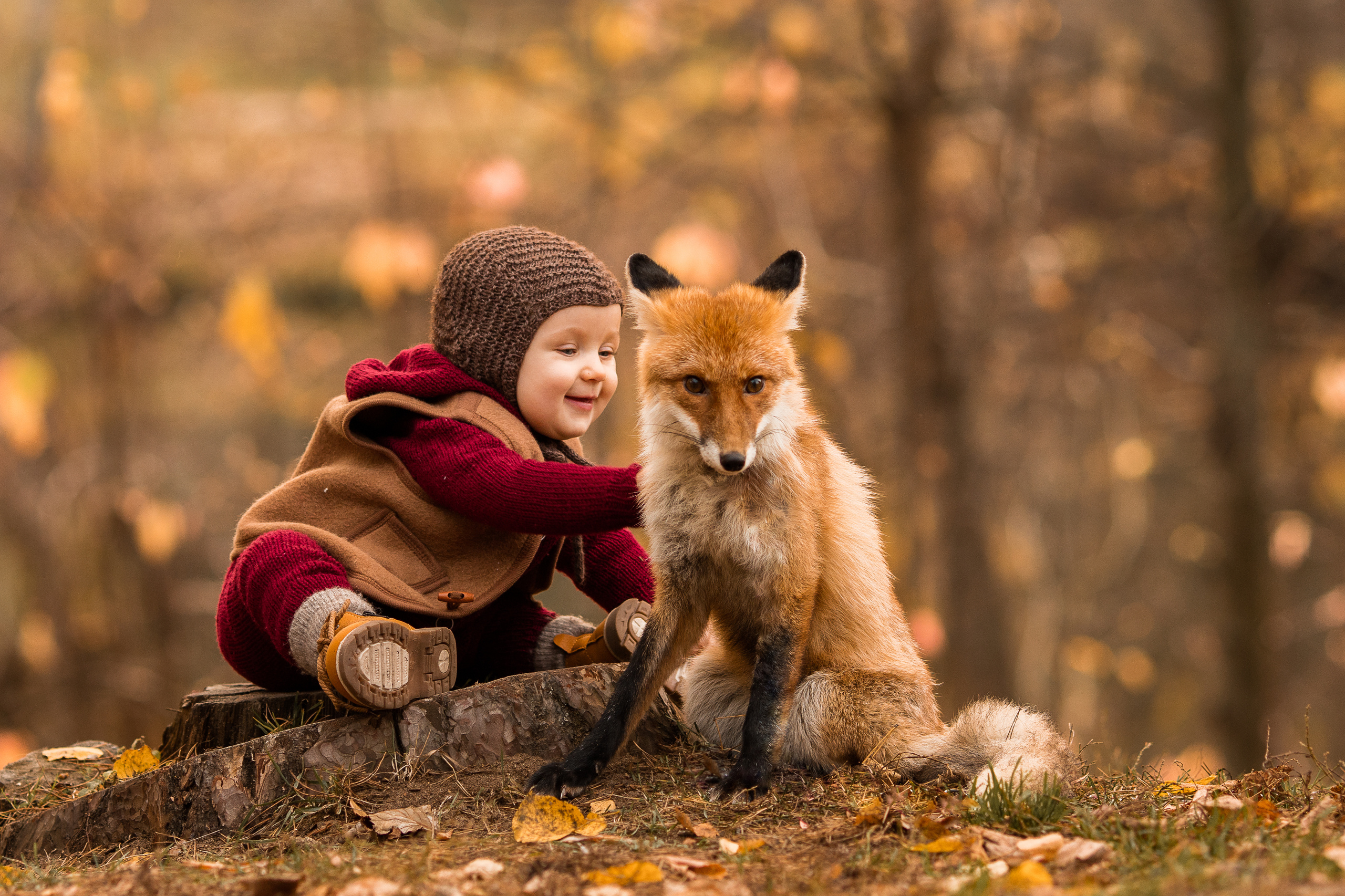 Сказочная фотосессия с животными. Семейный и детский фотограф в Москве Олеся Маркина