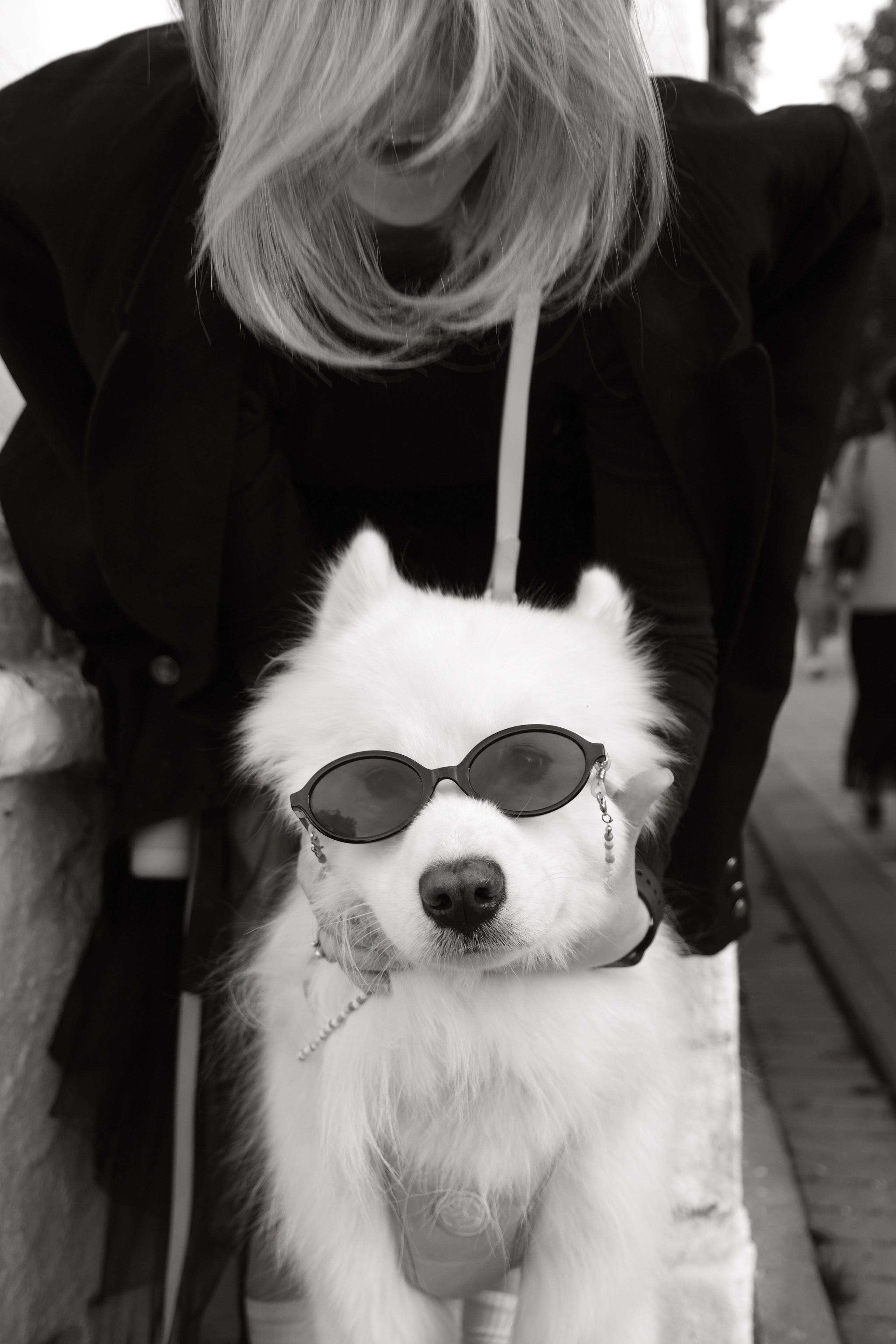 Animalism. Nataresso | фотограф Москва