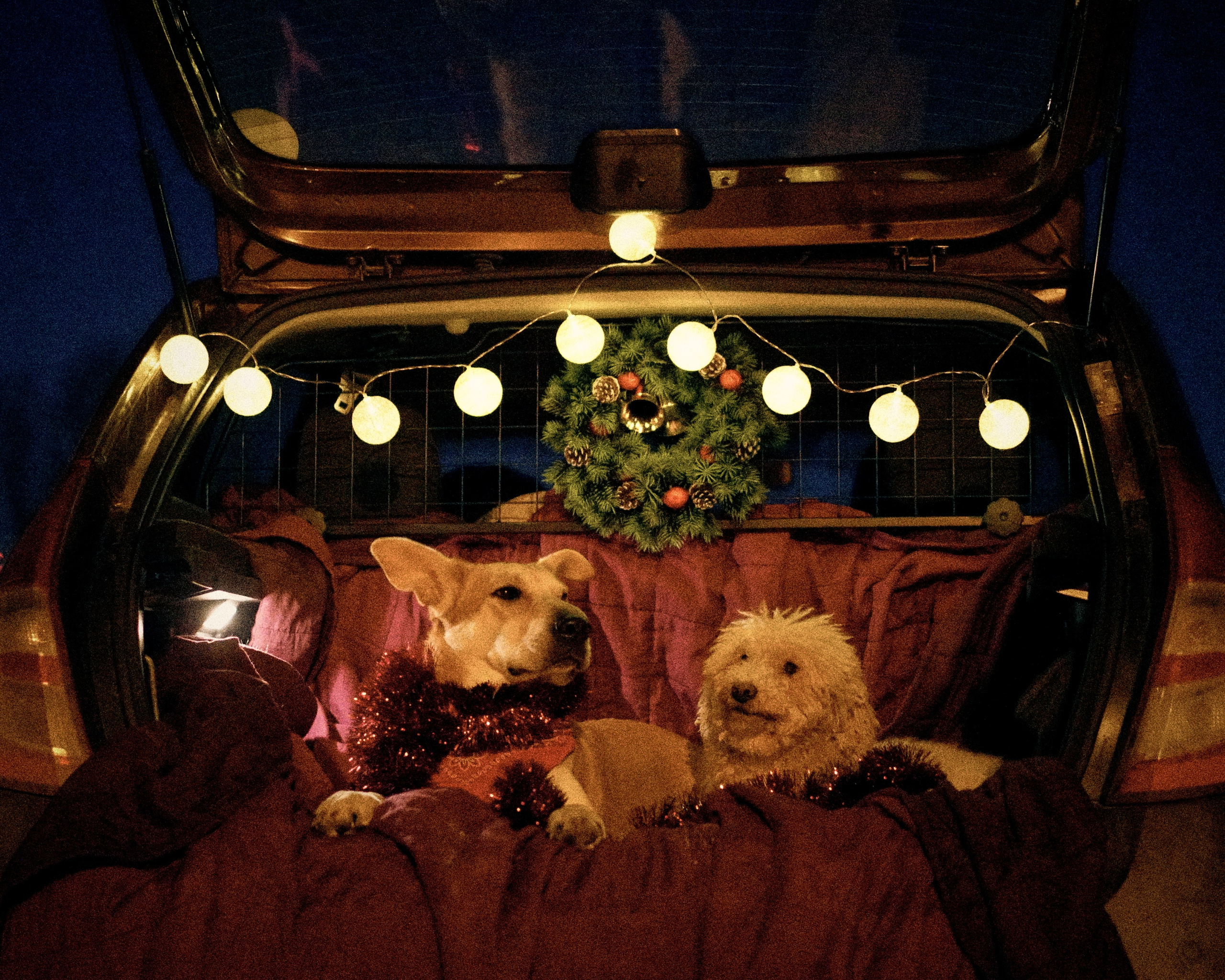 «Под светом уличного фонаря». Фотограф Казань