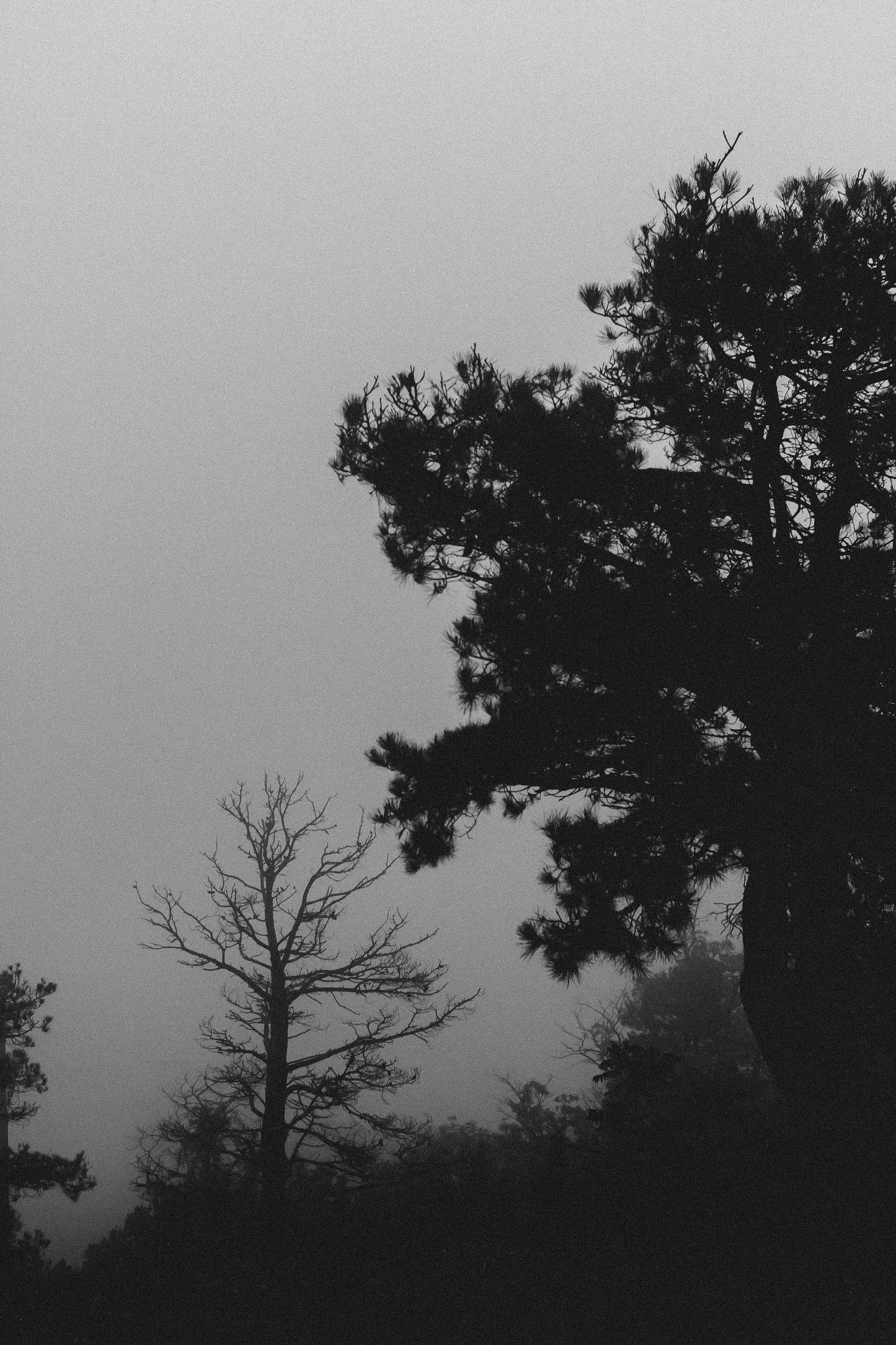 Константин Жуйков | Stifty