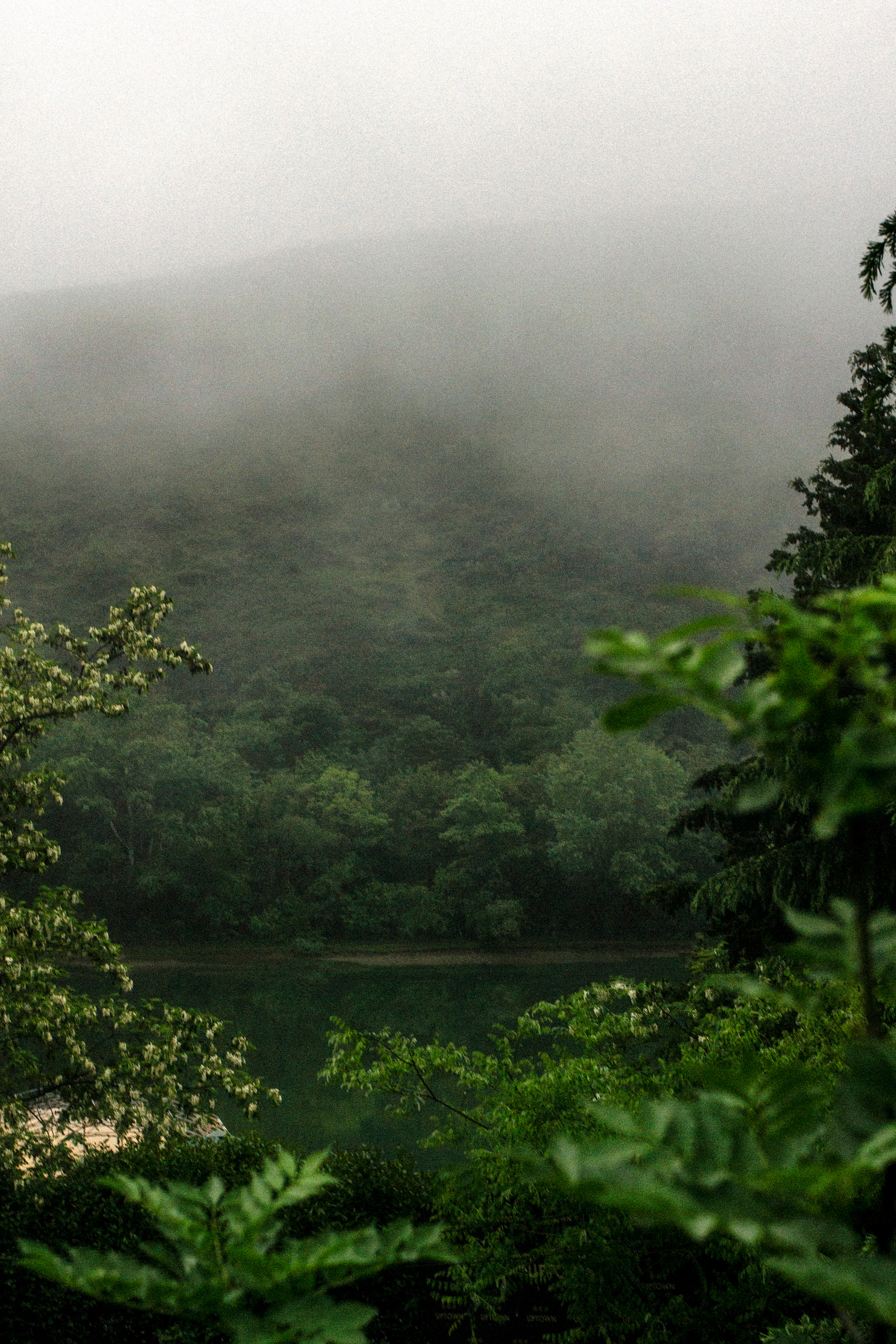 Константин Жуйков | Stifty