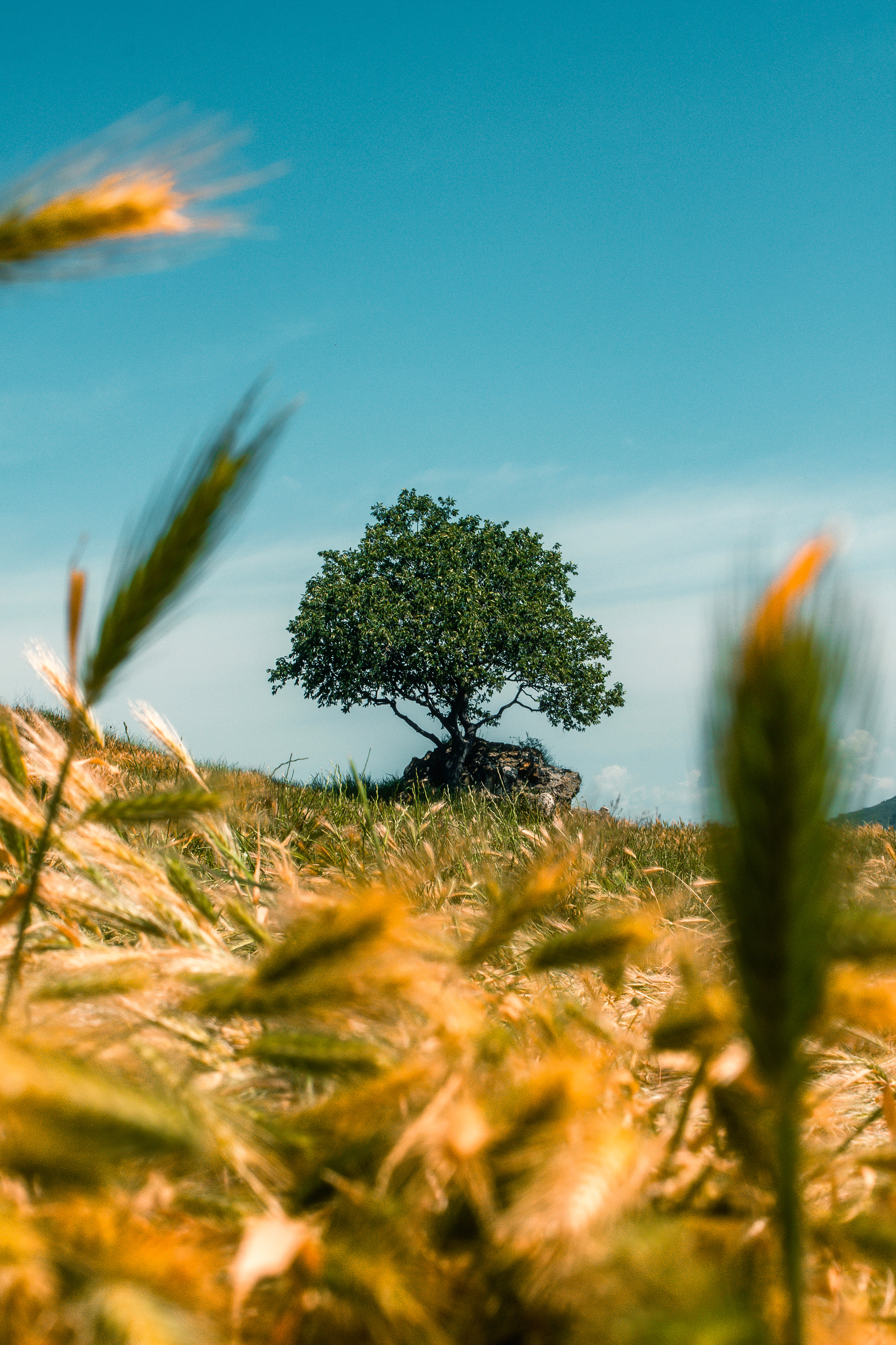 Константин Жуйков | Stifty