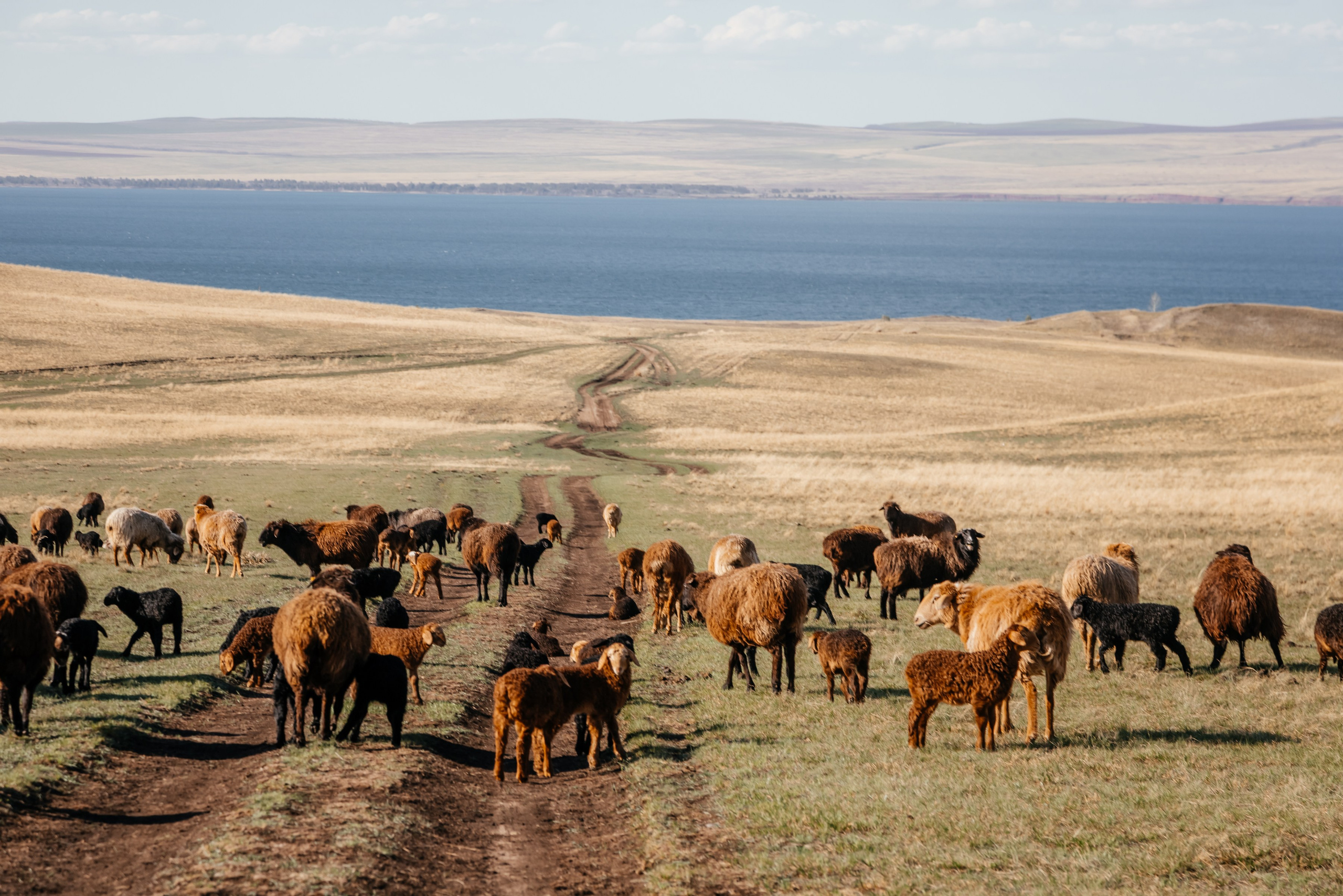 Хакассия. Фотограф в Красноярске Оксана Корчагина