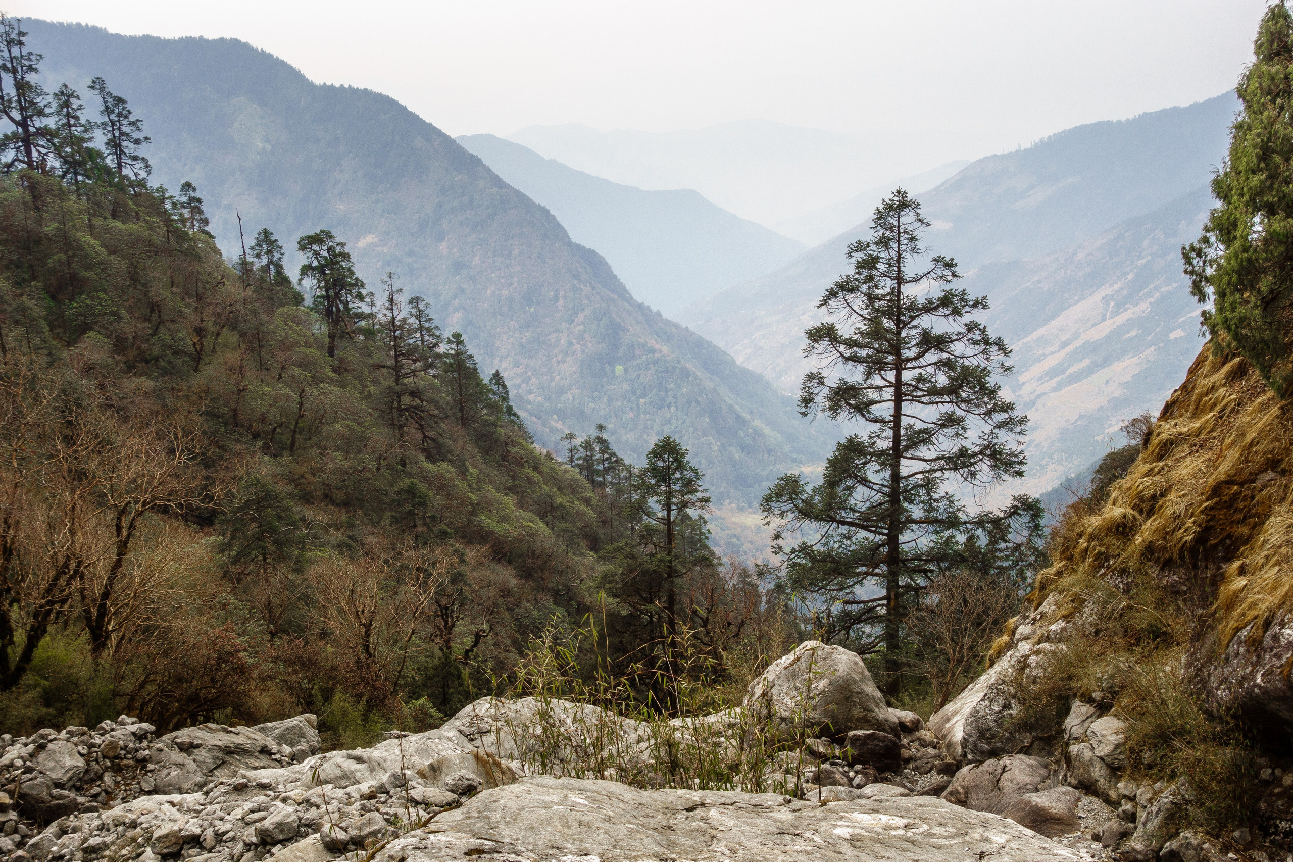 Обитель снегов. Пейзажный фотограф Сергей Пестерев. Фото природы