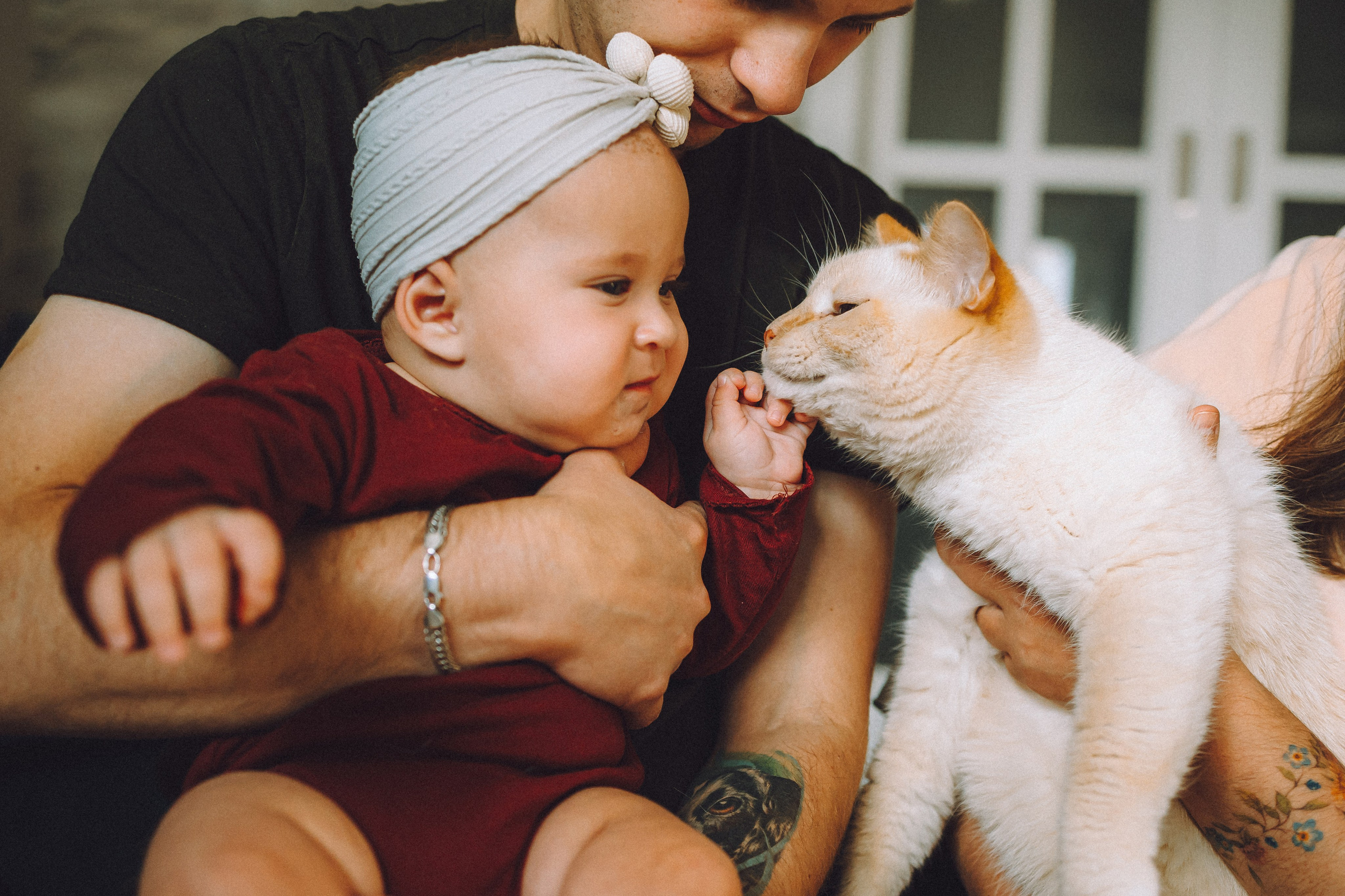 Топик и его семья