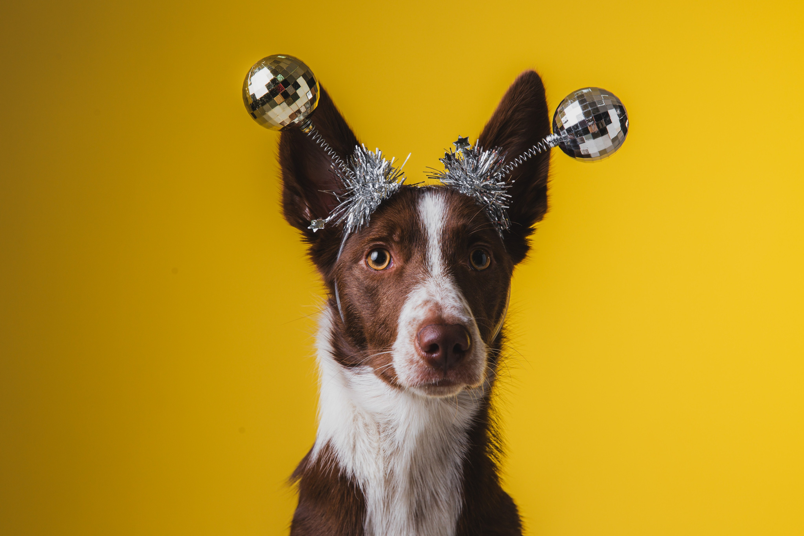 Воркшоп по импульсному свету