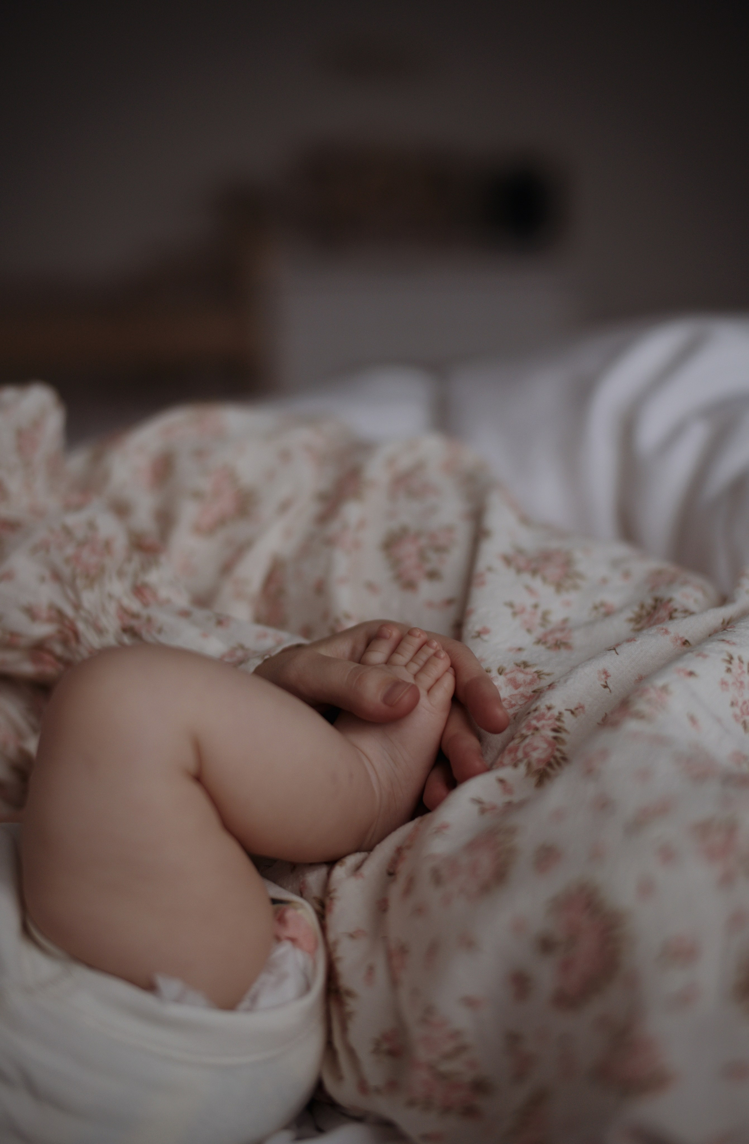 Василисе 3 месяца! 💫. Семейный фотограф в Санк-Петербурге Юлия Поволоцкая