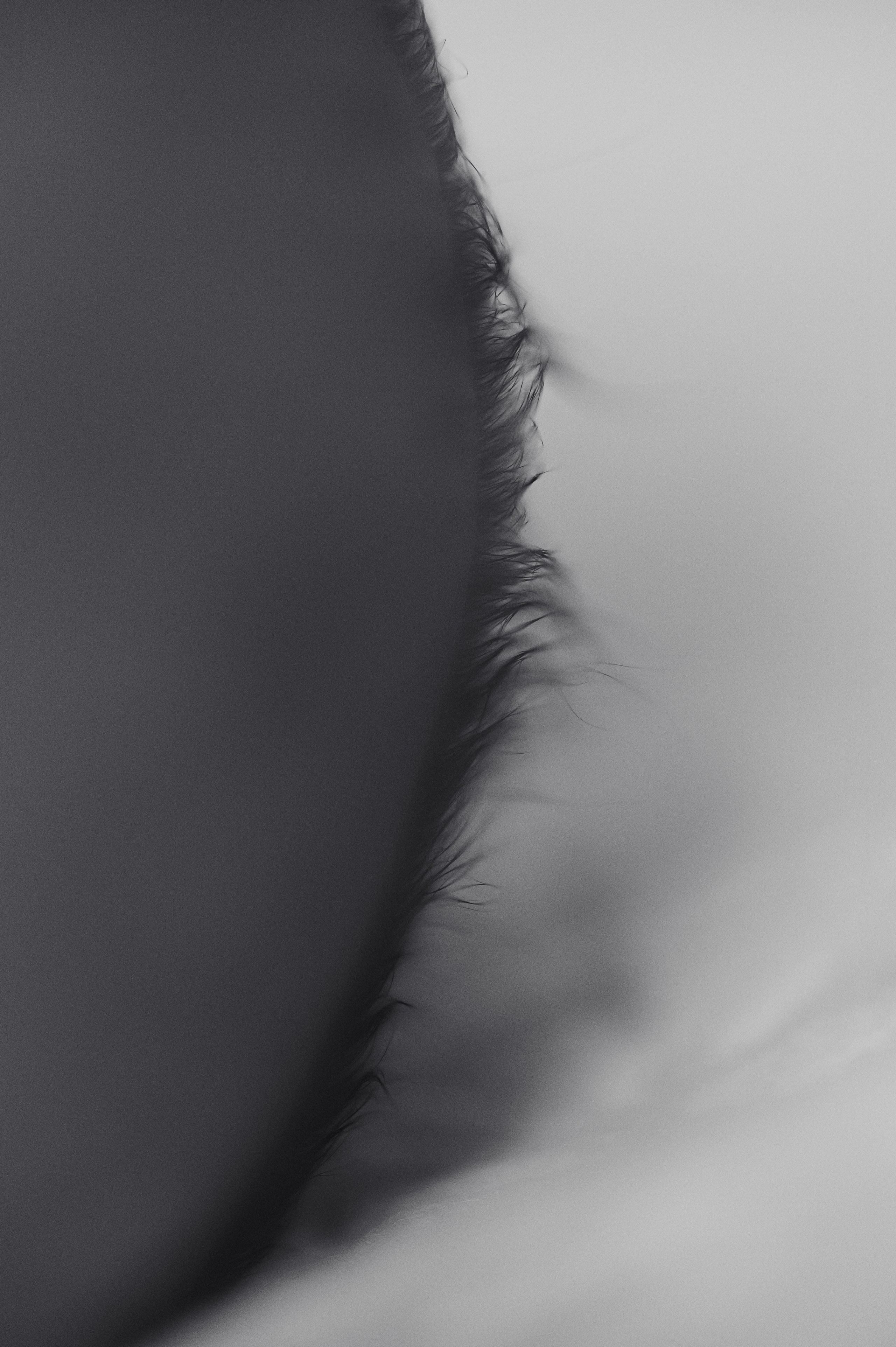 Выписка Льва. Фотограф на роды СПБ Юлия Герасимова