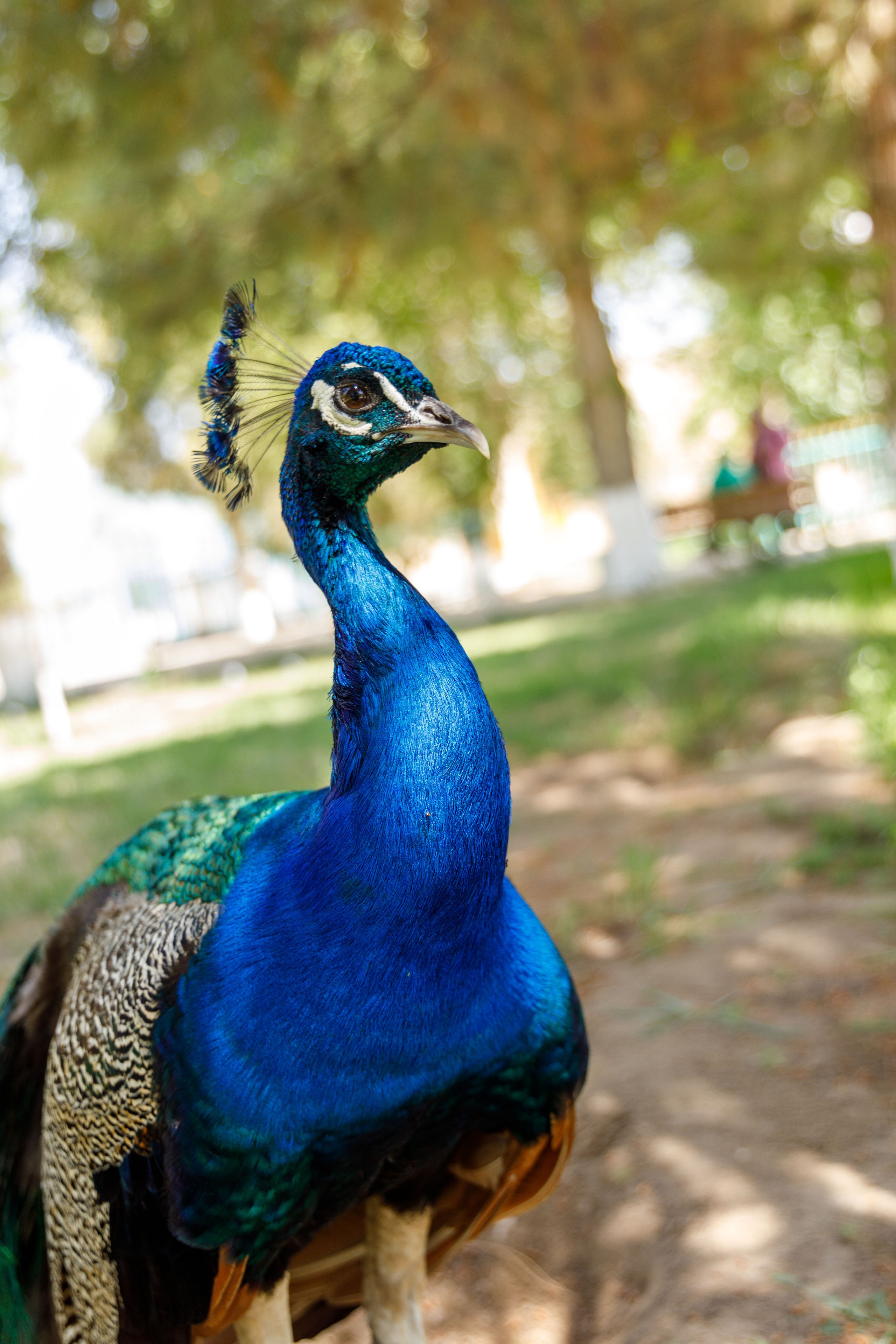 Узбекистан в мае. Sysoevaoksana