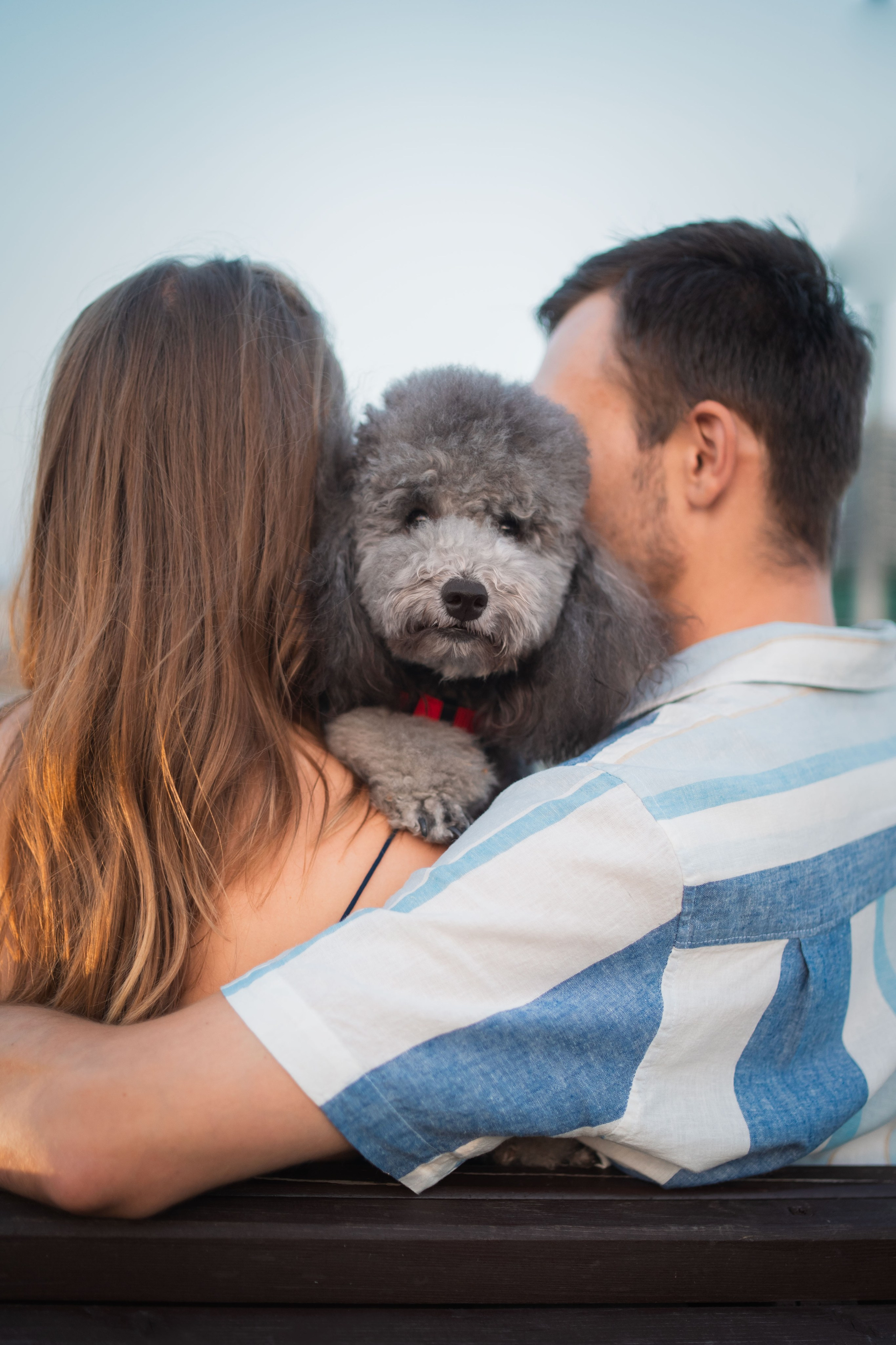 В Белграде на набережной. Фотограф анималист