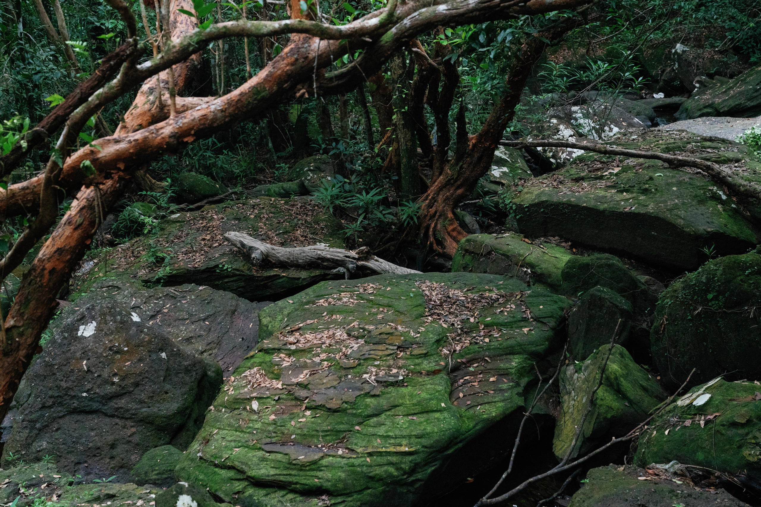 Phu Quoc photographer — Phu Quoc wedding photographer. PhuQuoc photographer — Phu Quoc wedding photographer