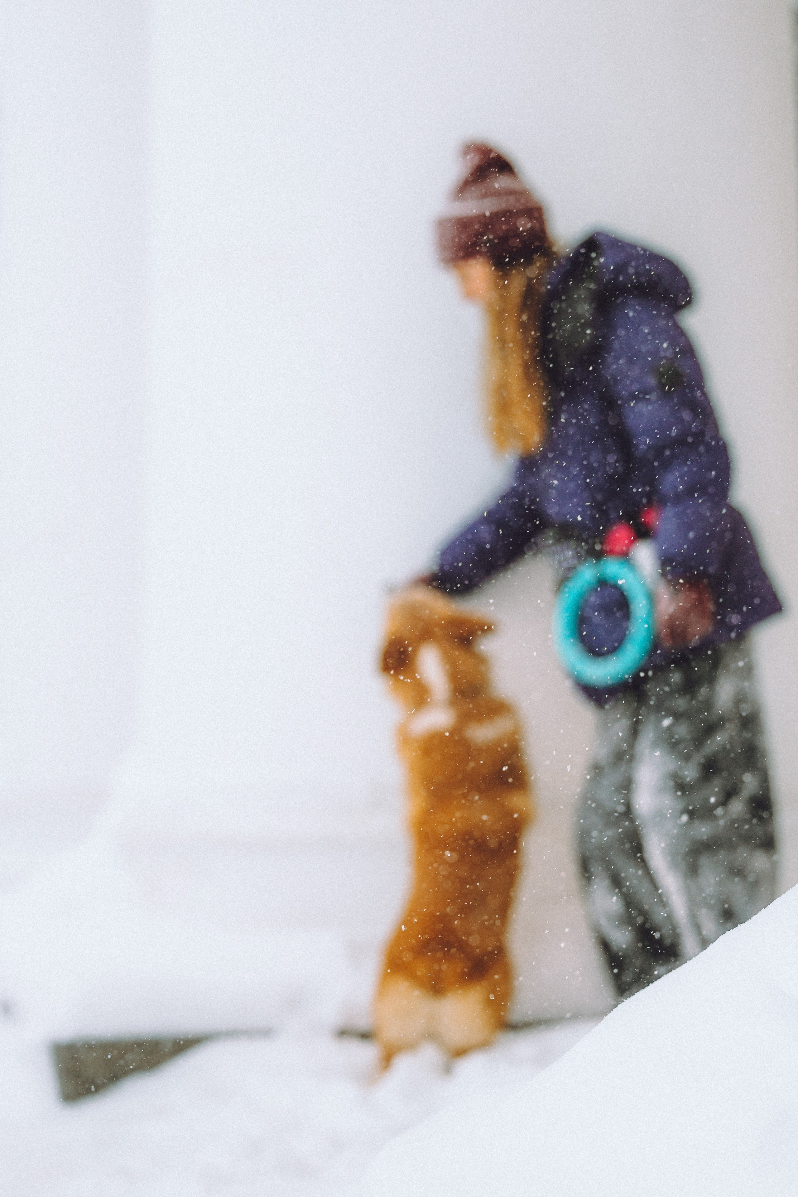 Юля и Юпитер