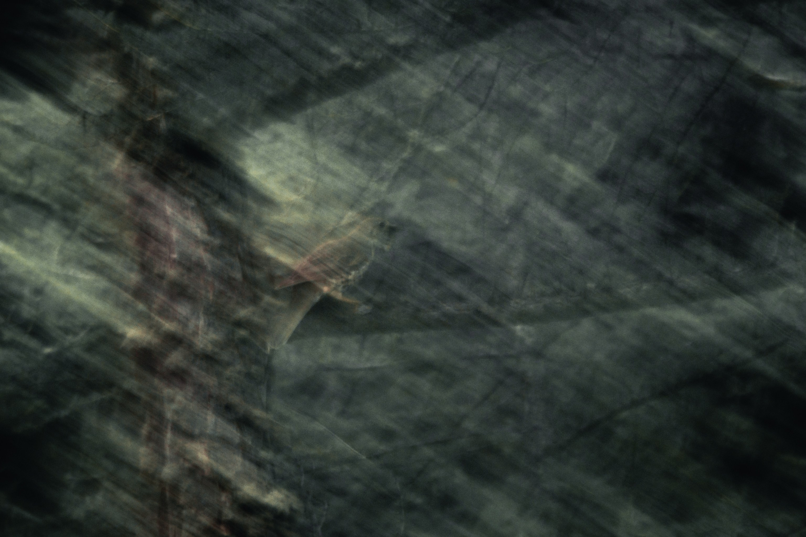 Conceptual. AndreyRKT Photo