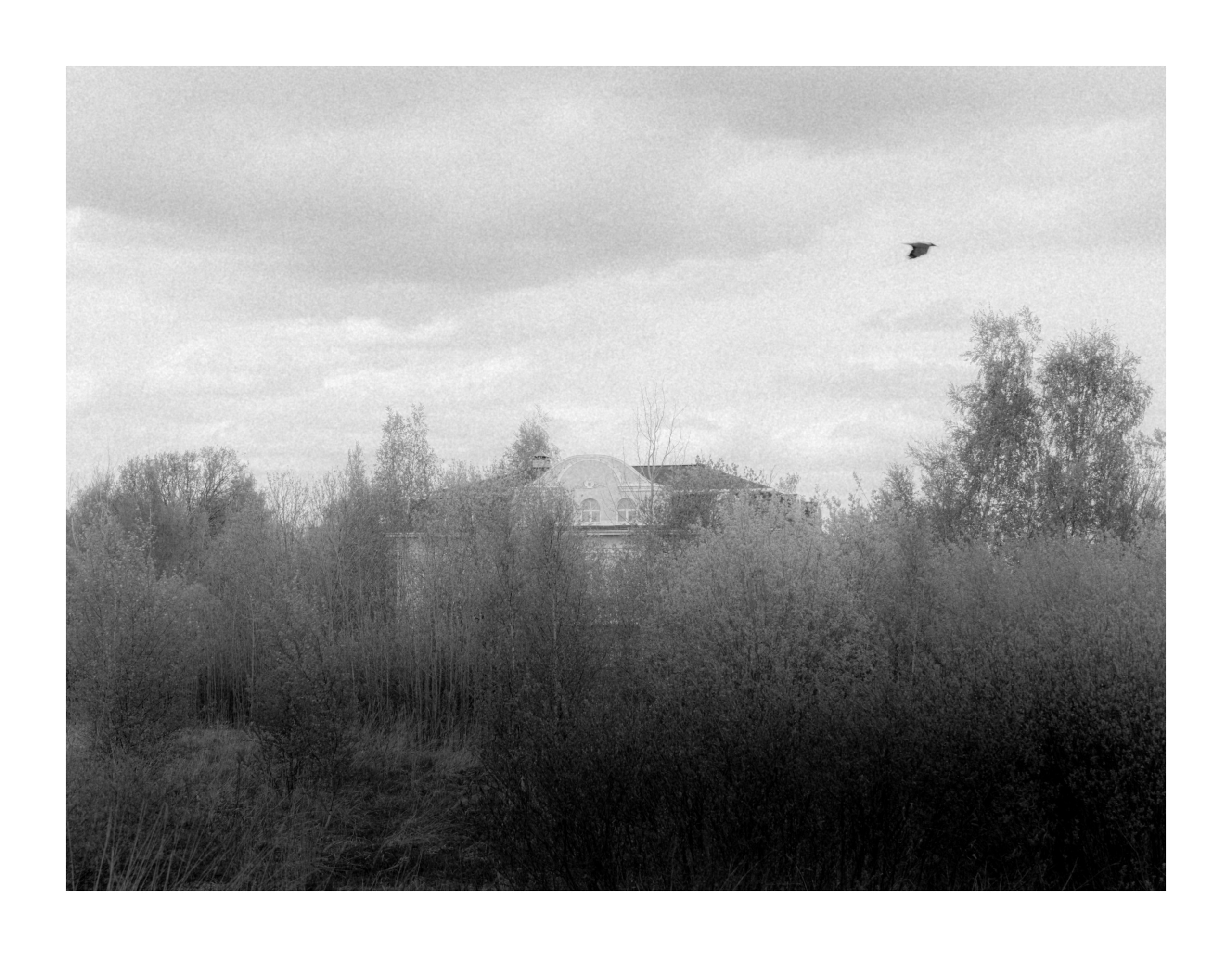 Одиночные работы. Мистические фотосессии в Санкт-Петербурге от мистика Ильи Шенгелия