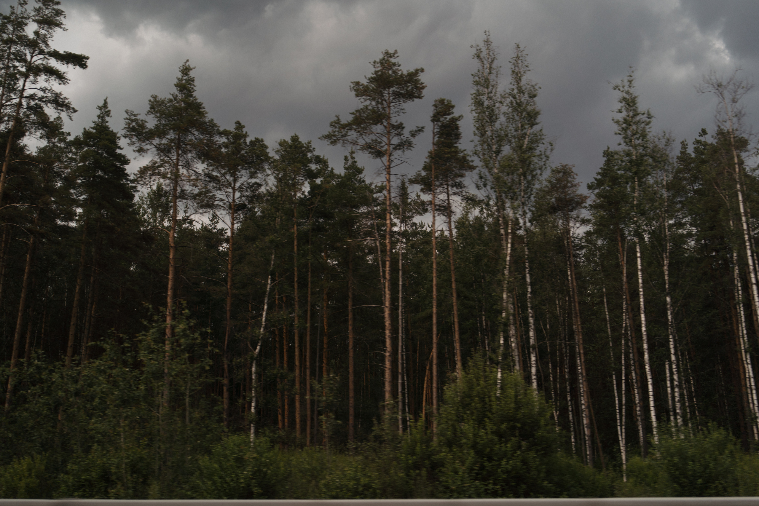 I'M THANKFUL FOR TODAY. Свадебный фотограф Москва Светлана Анисимова