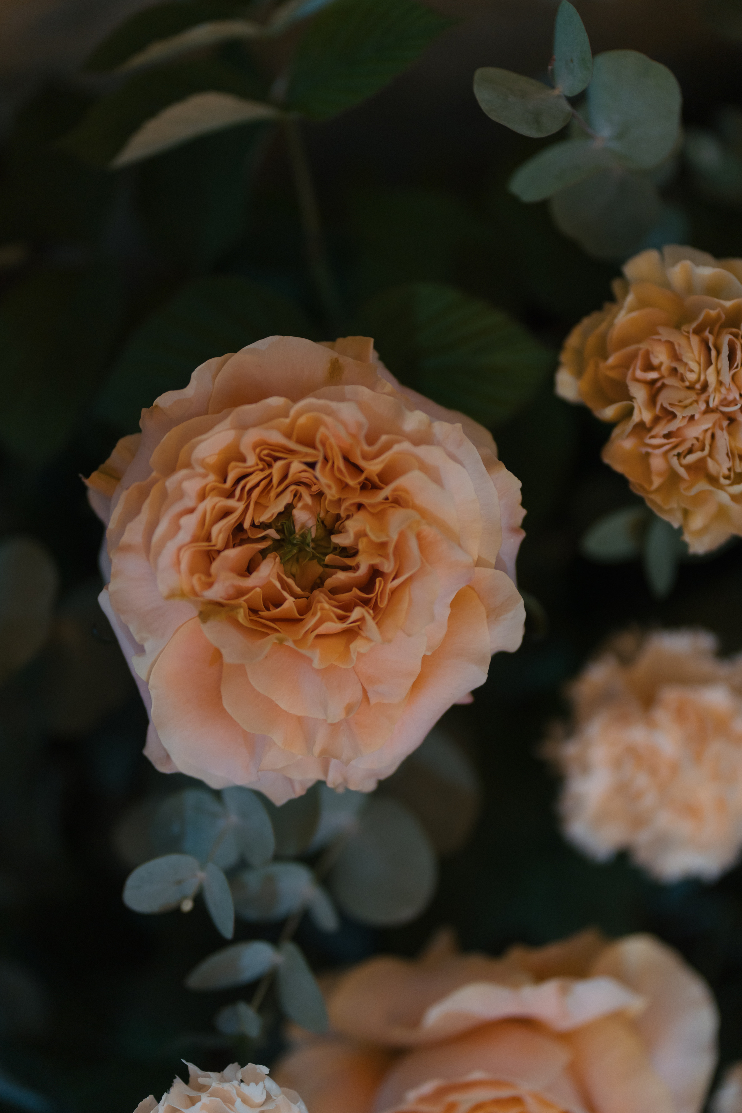 I'M THANKFUL FOR TODAY. Свадебный фотограф Москва Светлана Анисимова