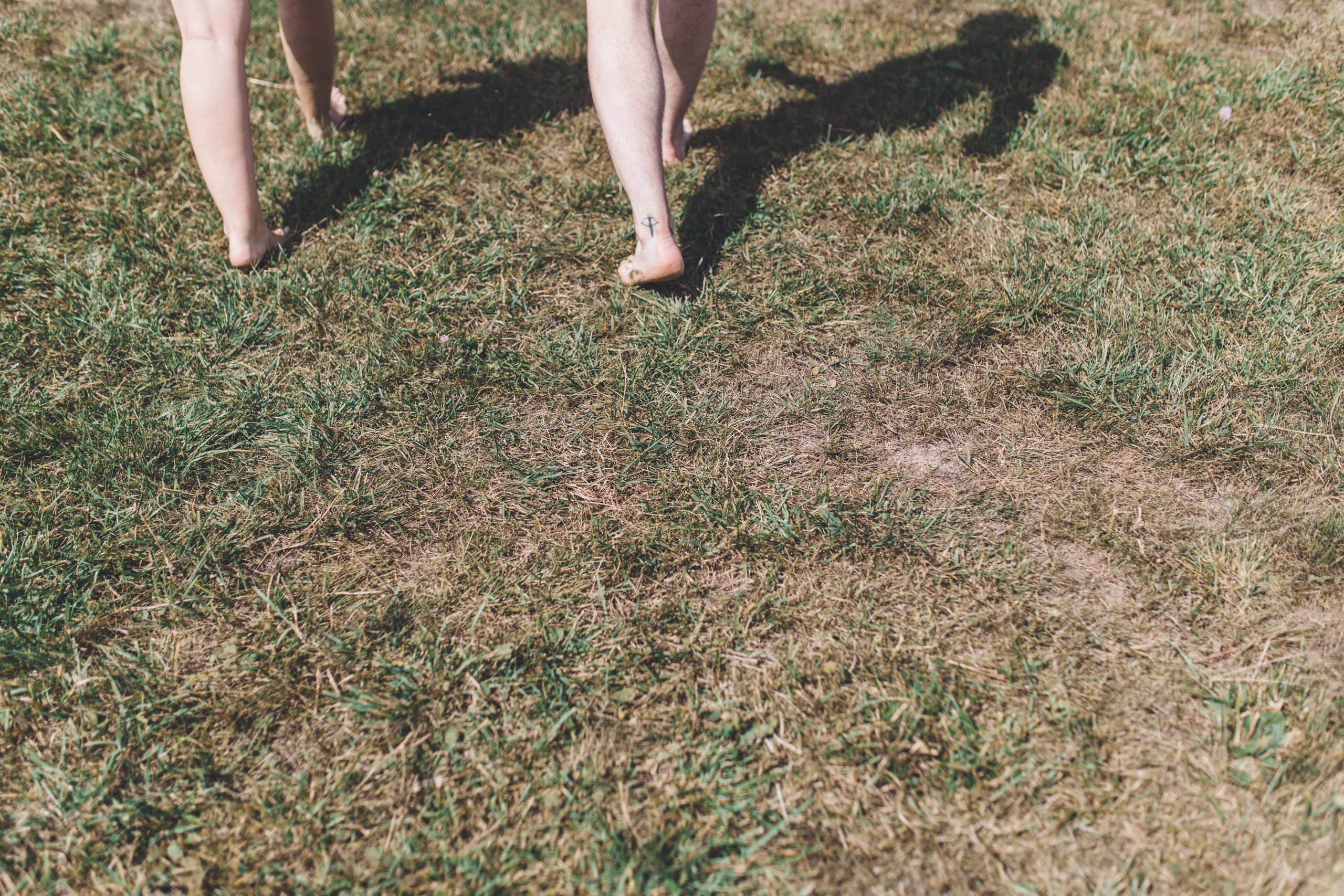 Кирилл и Полина. Wedding and family photography Adamians