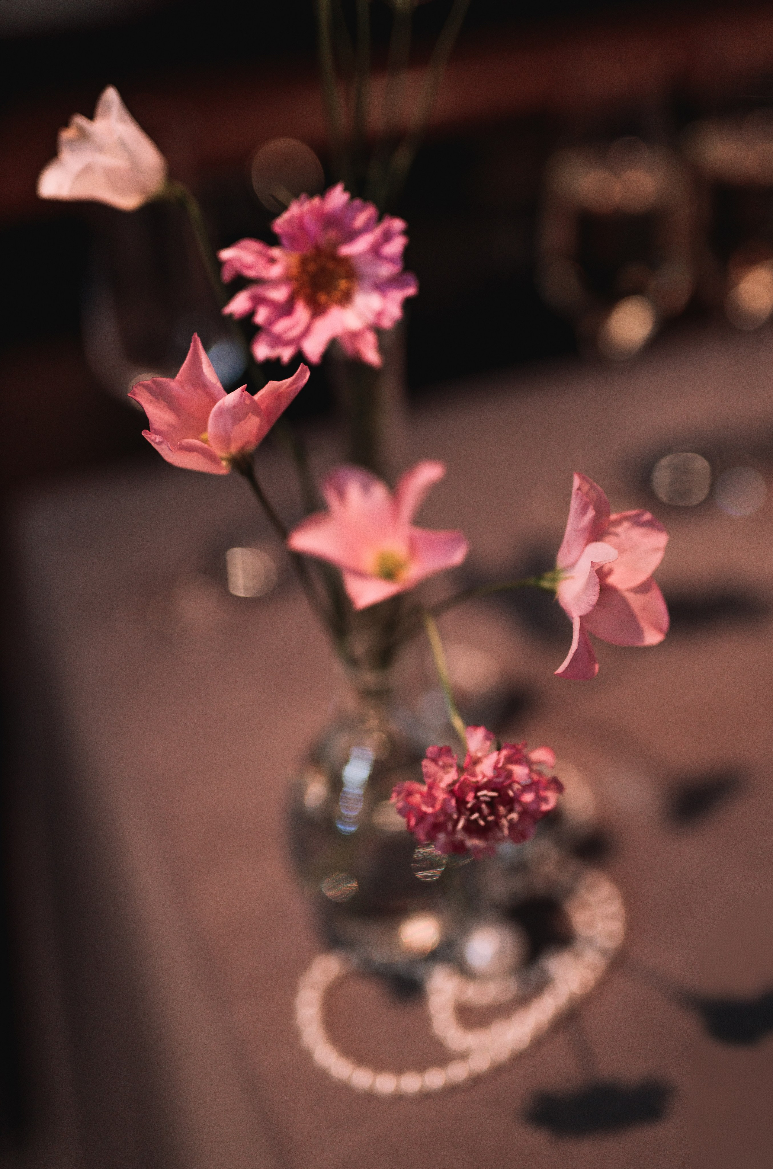 Женя Вика. Свадебный фотограф СПб Евгения Орлова