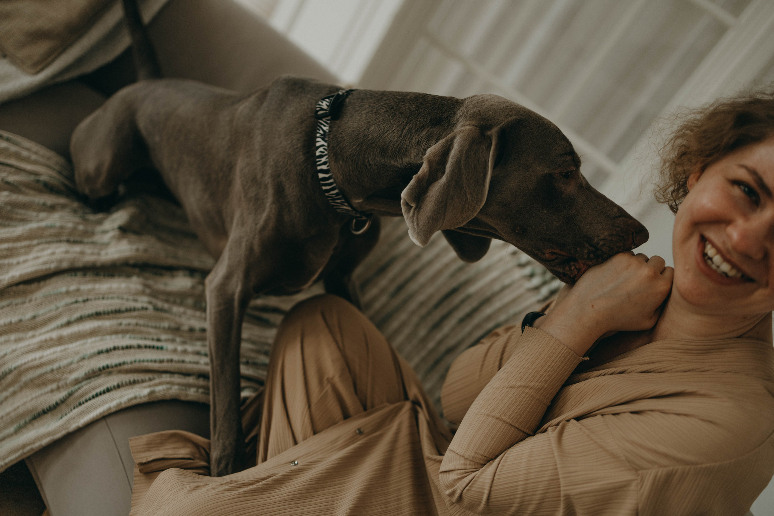 Фотосессия в студии с собакой. Фотограф-анималист в Екатеринбурге | Кристина