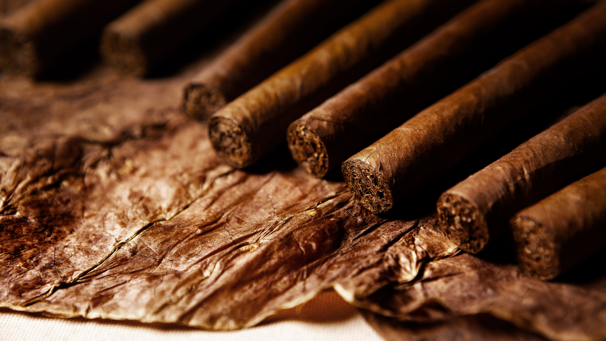 Кубинские сигары. Игорь Замятин. Московский фотограф