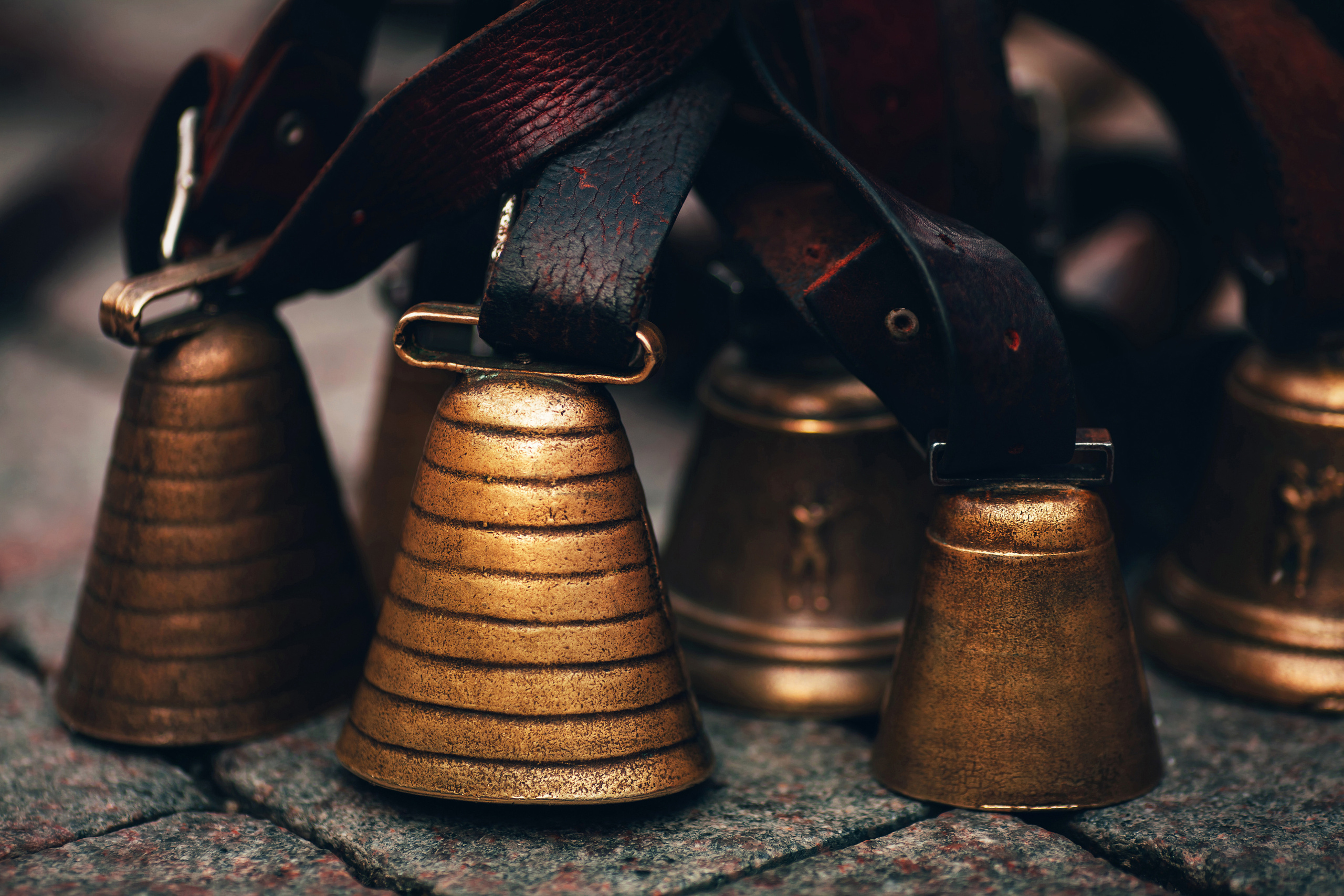 Масленица-Сардинии в Москве. Игорь Замятин. Московский фотограф