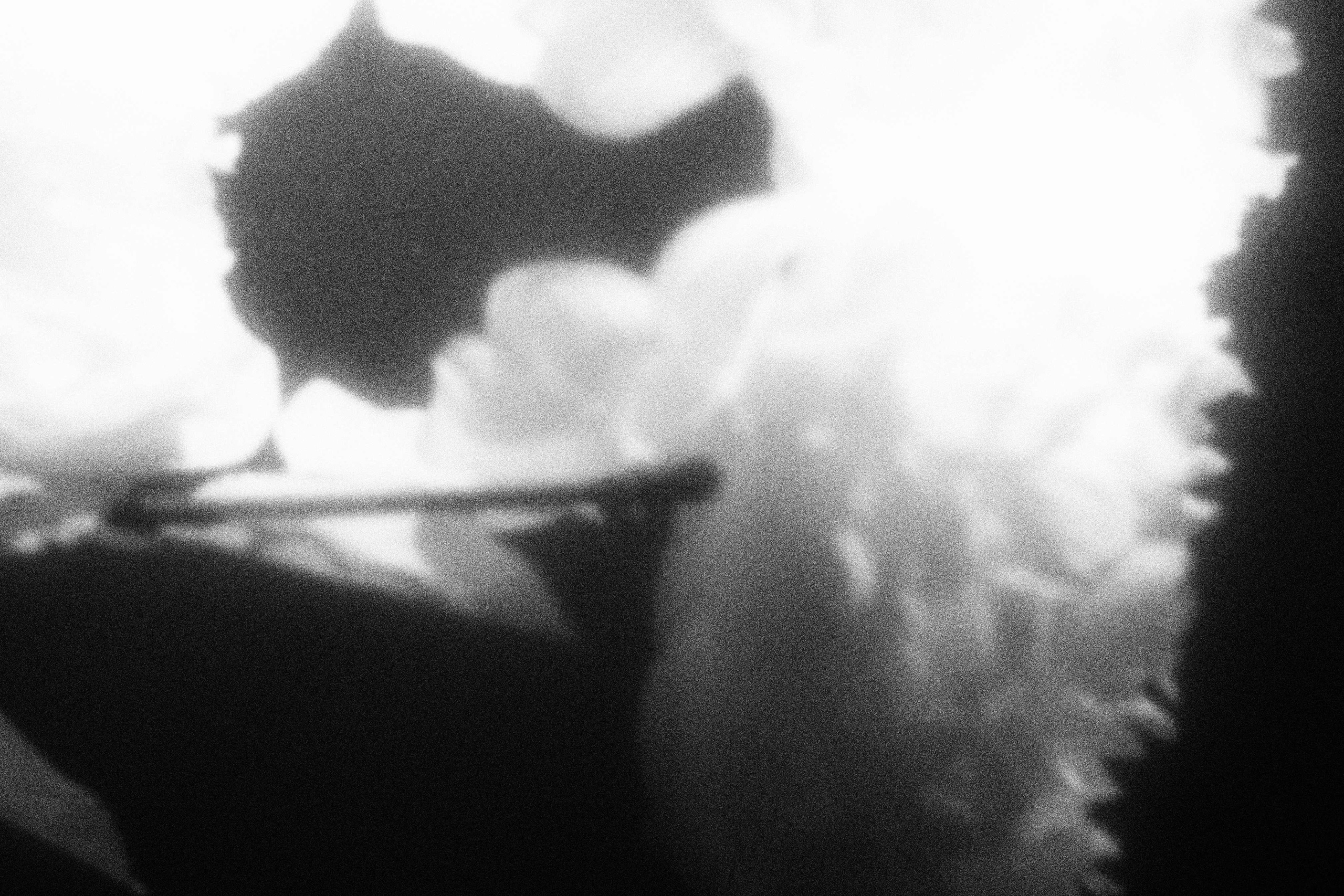 «Видеть. Чувствовать. Сохранять»