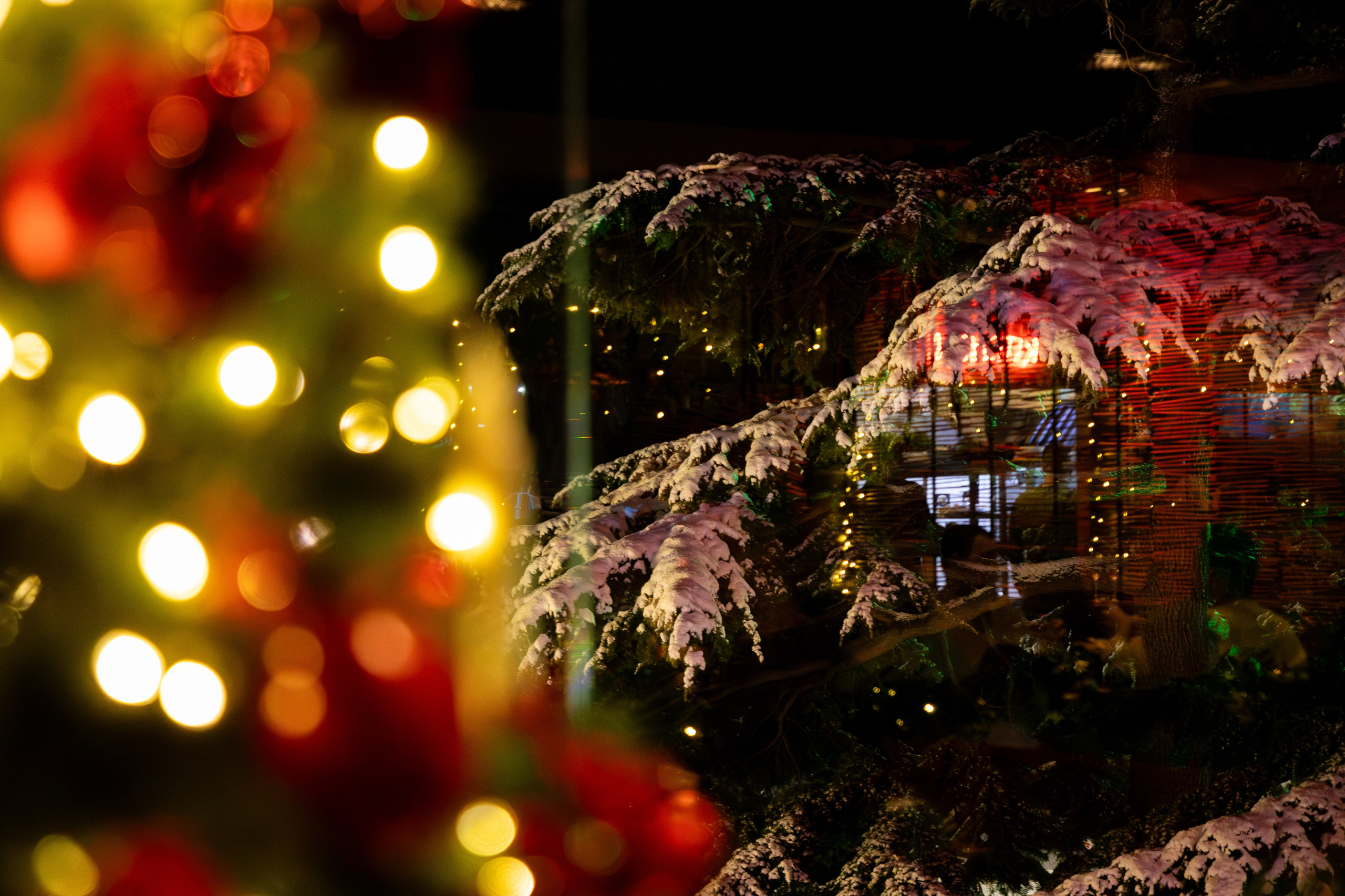 Новогодняя ночь 2026 в панорамном ресторане «Чайка». Дженбаз Павел — фотограф в Ялте