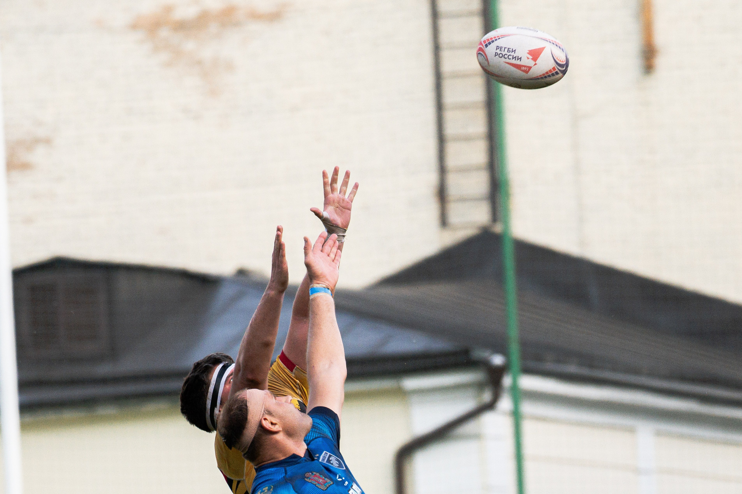RUGBY. Lisa_krassna