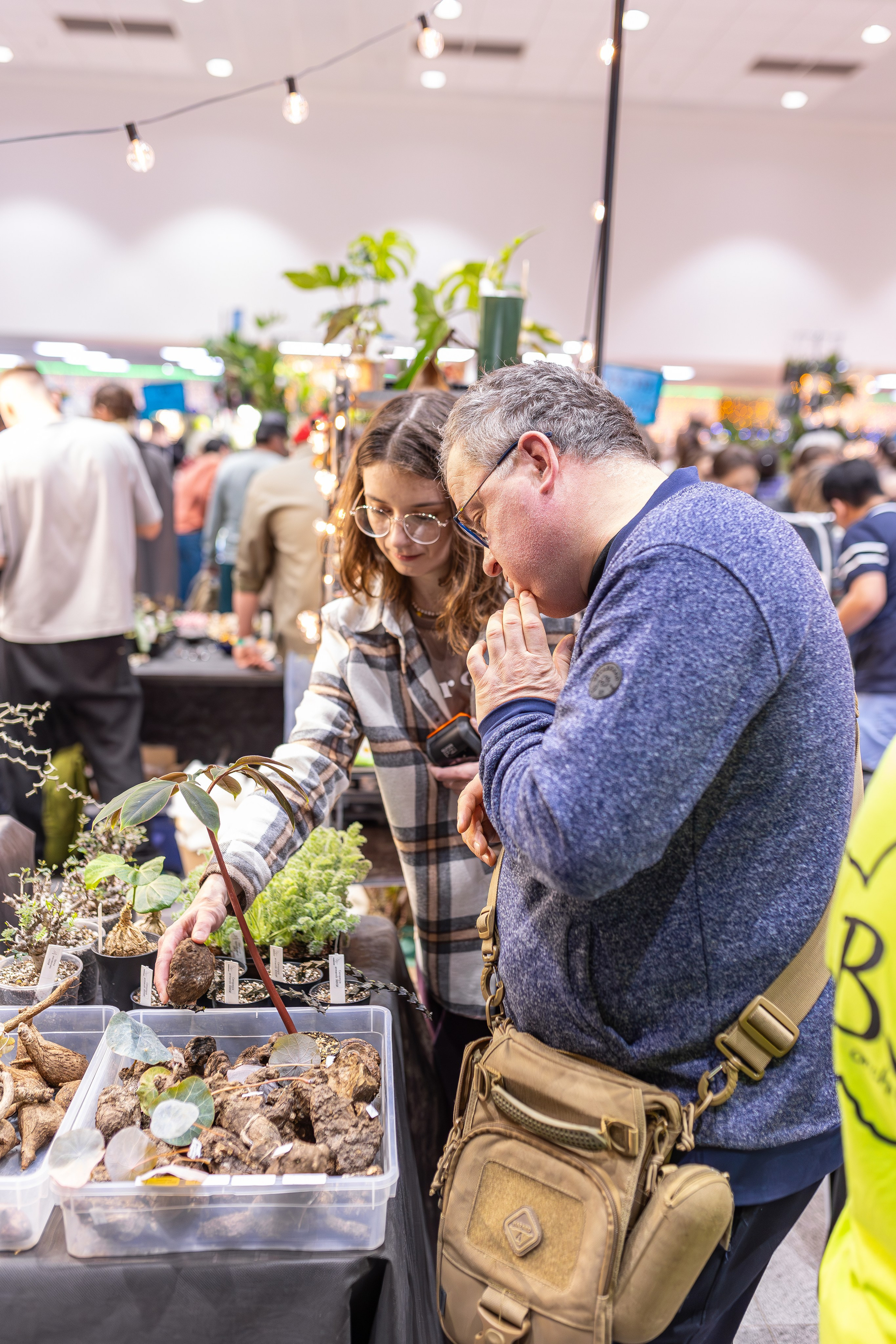 Орхидиум 12.2025. Александра Куликова фотограф, Москва
