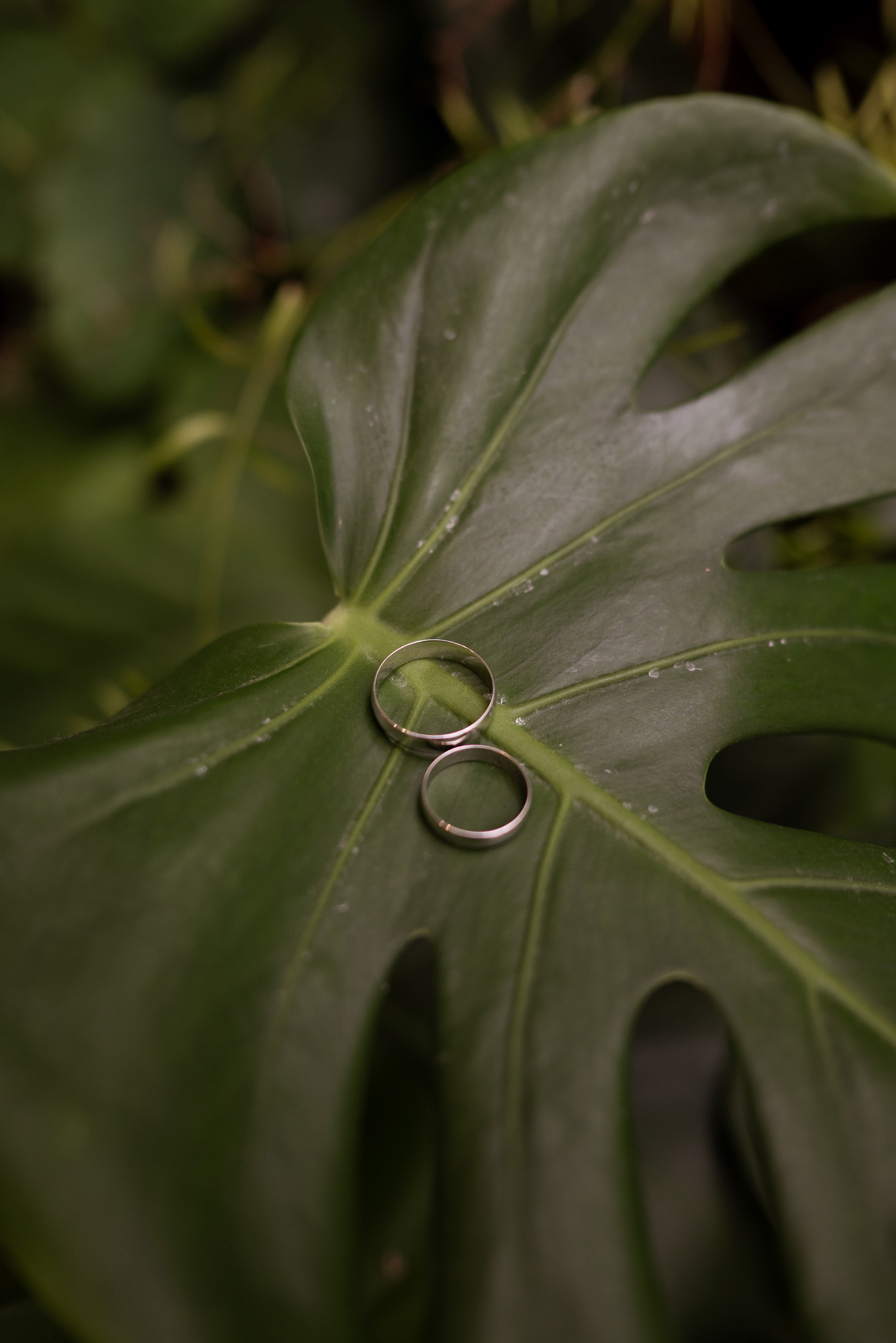 Дмитрий и Ника | 29.08.25. Свадебный фотограф в Санкт-Петербурге Владислава Тюльпина
