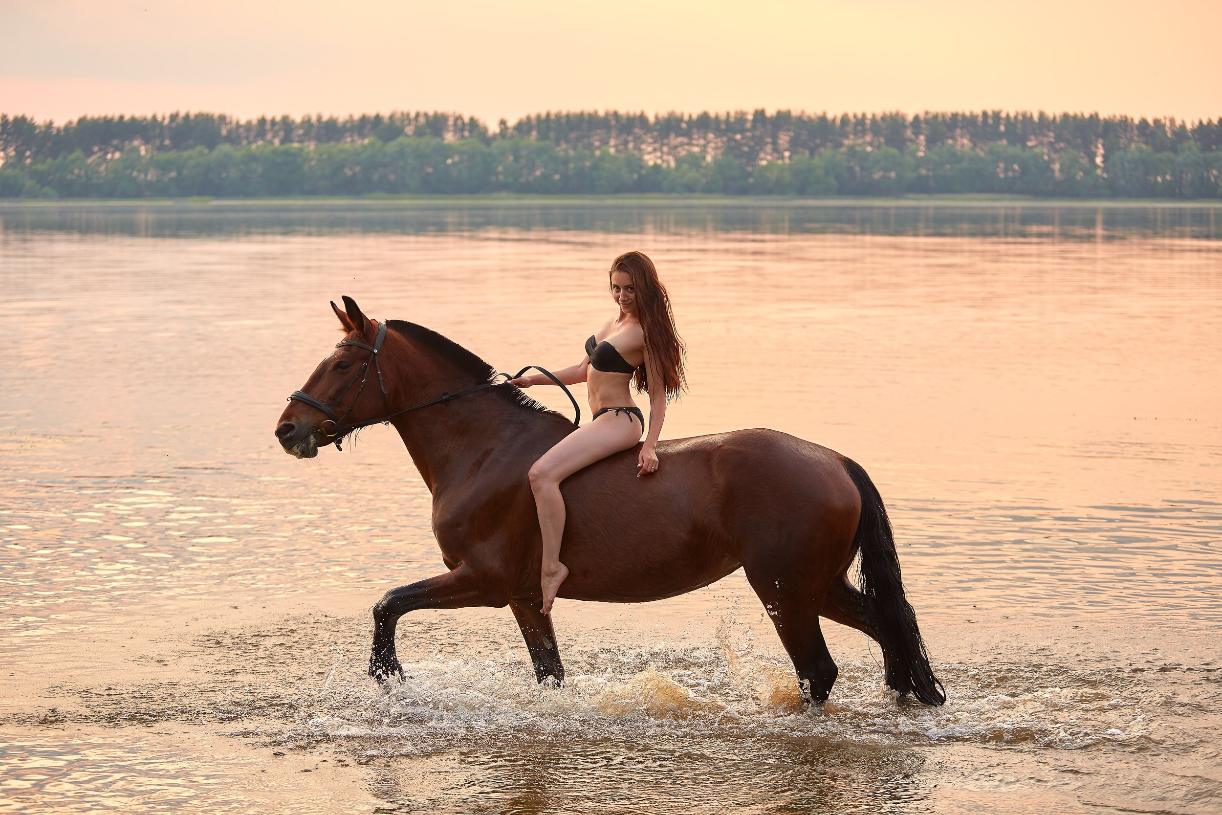 Фотосессия с лошадьми, Фотограф Михаил Семенов г. Ярославль