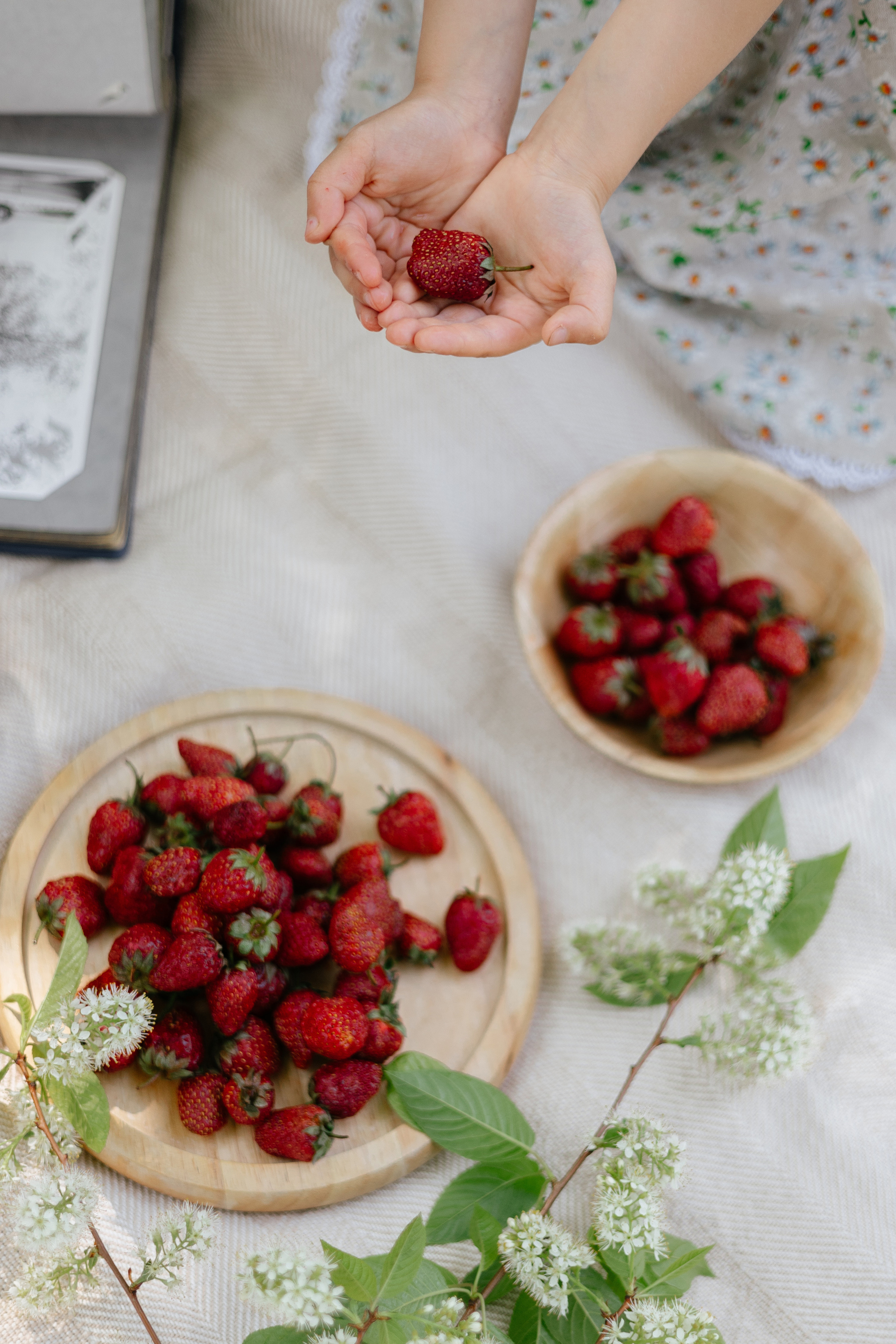 Отзывы. Фотограф свадебный семейный в Красноярске Шукшина Наталья
