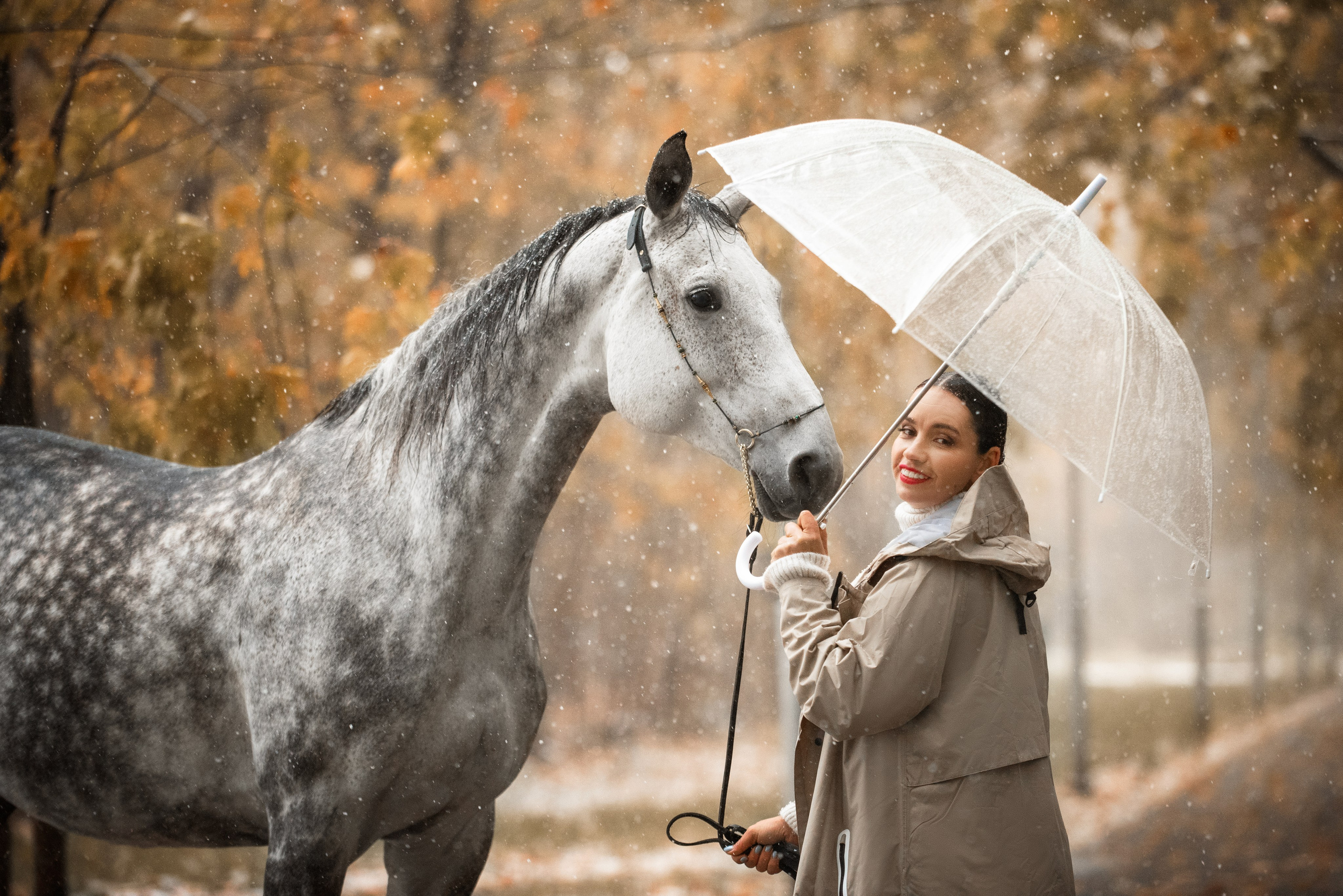 ЮНА «Осень». Куракина Дарья • Конный фотограф