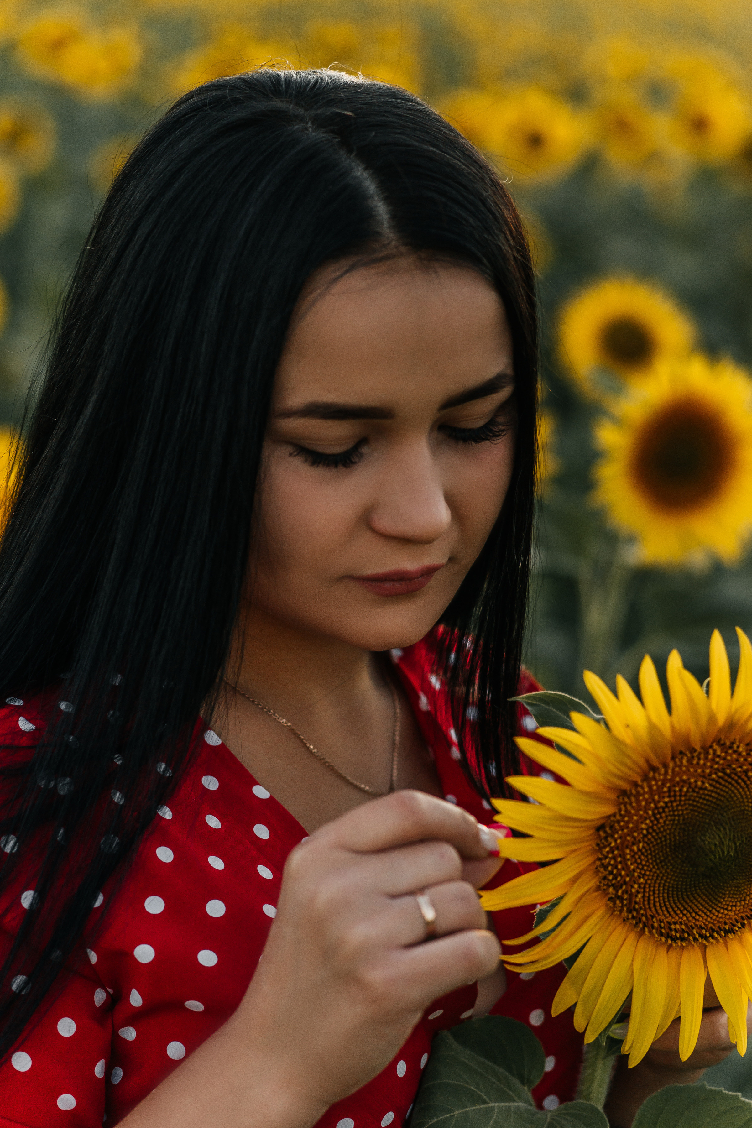 Полина в поле подсолнухов. Ольга Плаксина фотограф в Саратове