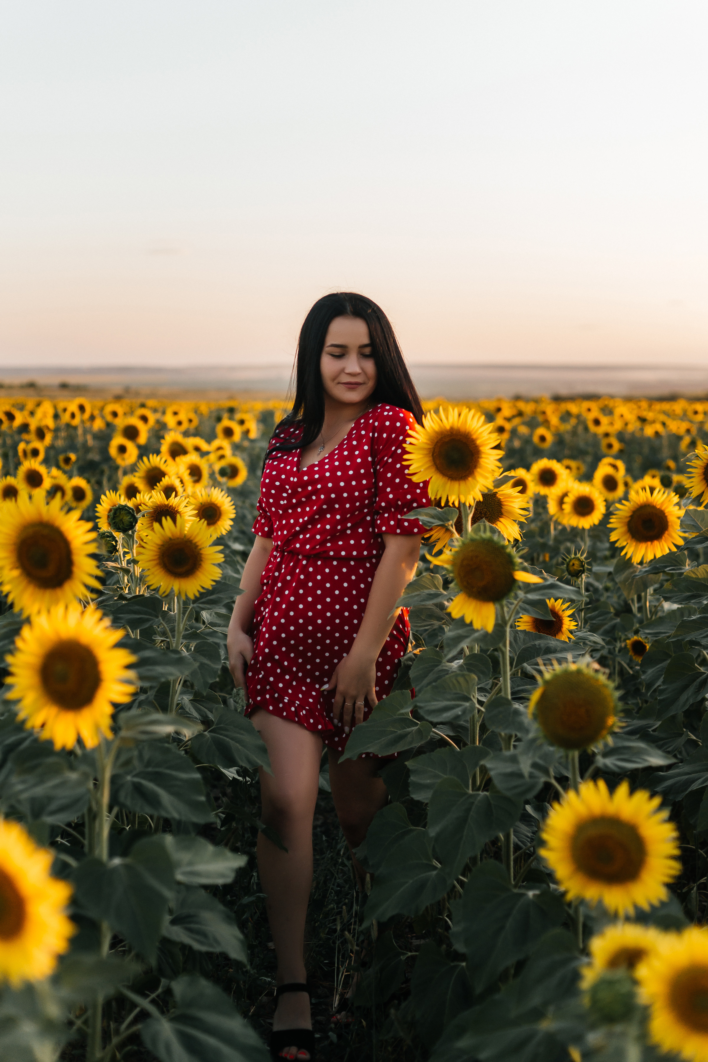 Полина в поле подсолнухов. Ольга Плаксина фотограф в Саратове