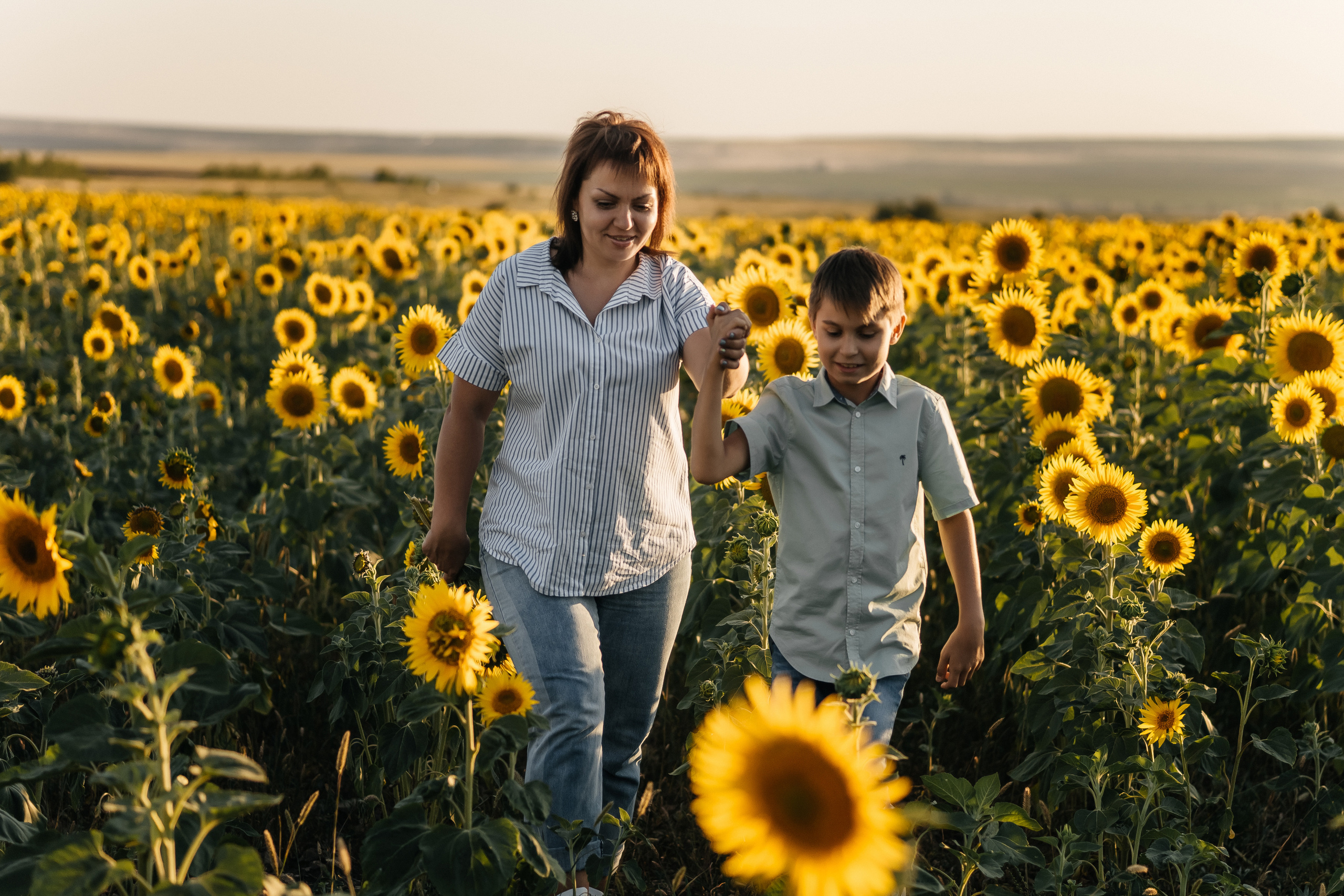 Ксения с сыном в подсолнухах. Ольга Плаксина фотограф в Саратове