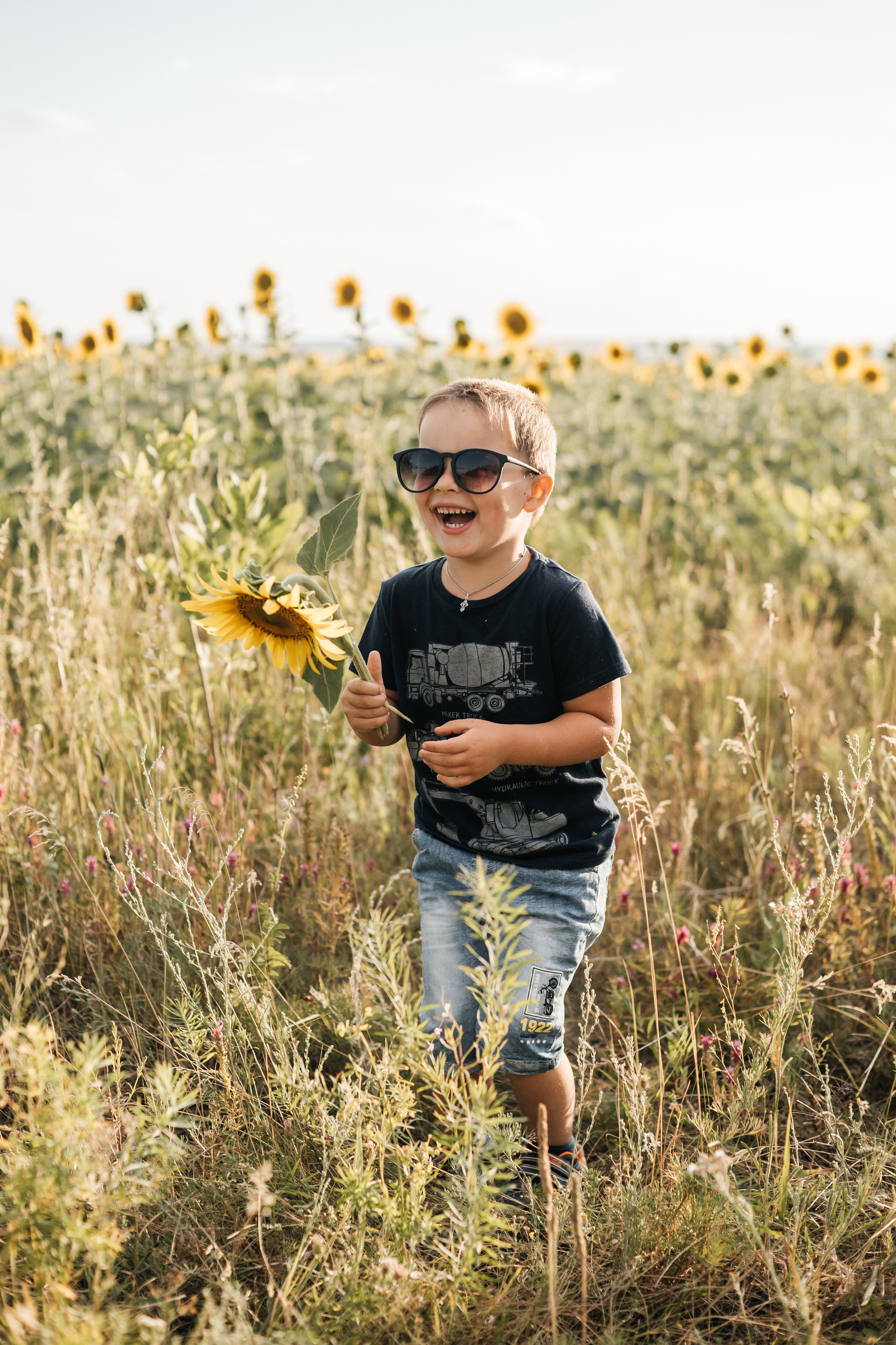 Семья ежовых в подсолнухах. Ольга Плаксина фотограф в Саратове